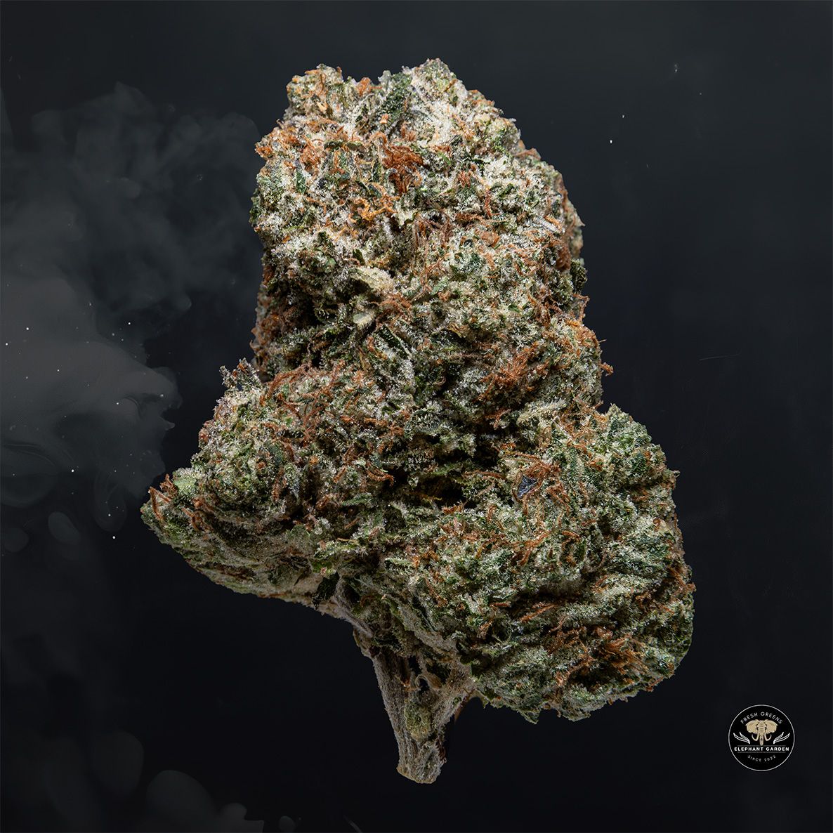 Buy Pink Kush at Elephant Garden Co Weed Dispensary Float 3 11 25 2