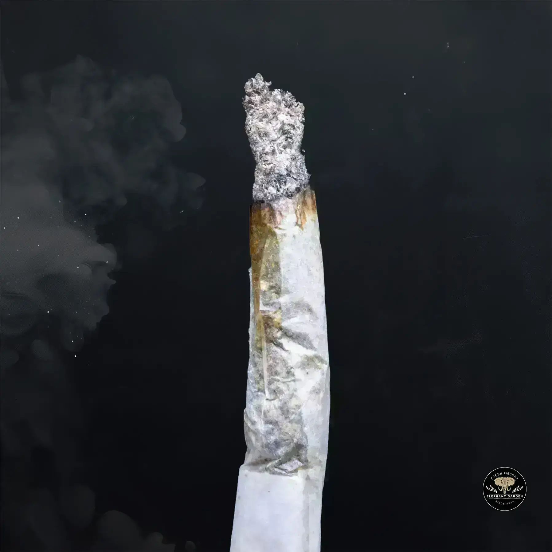 Buy Pink Rockstar at Elephant Garden Co Weed Dispensary Burn 1 23 25