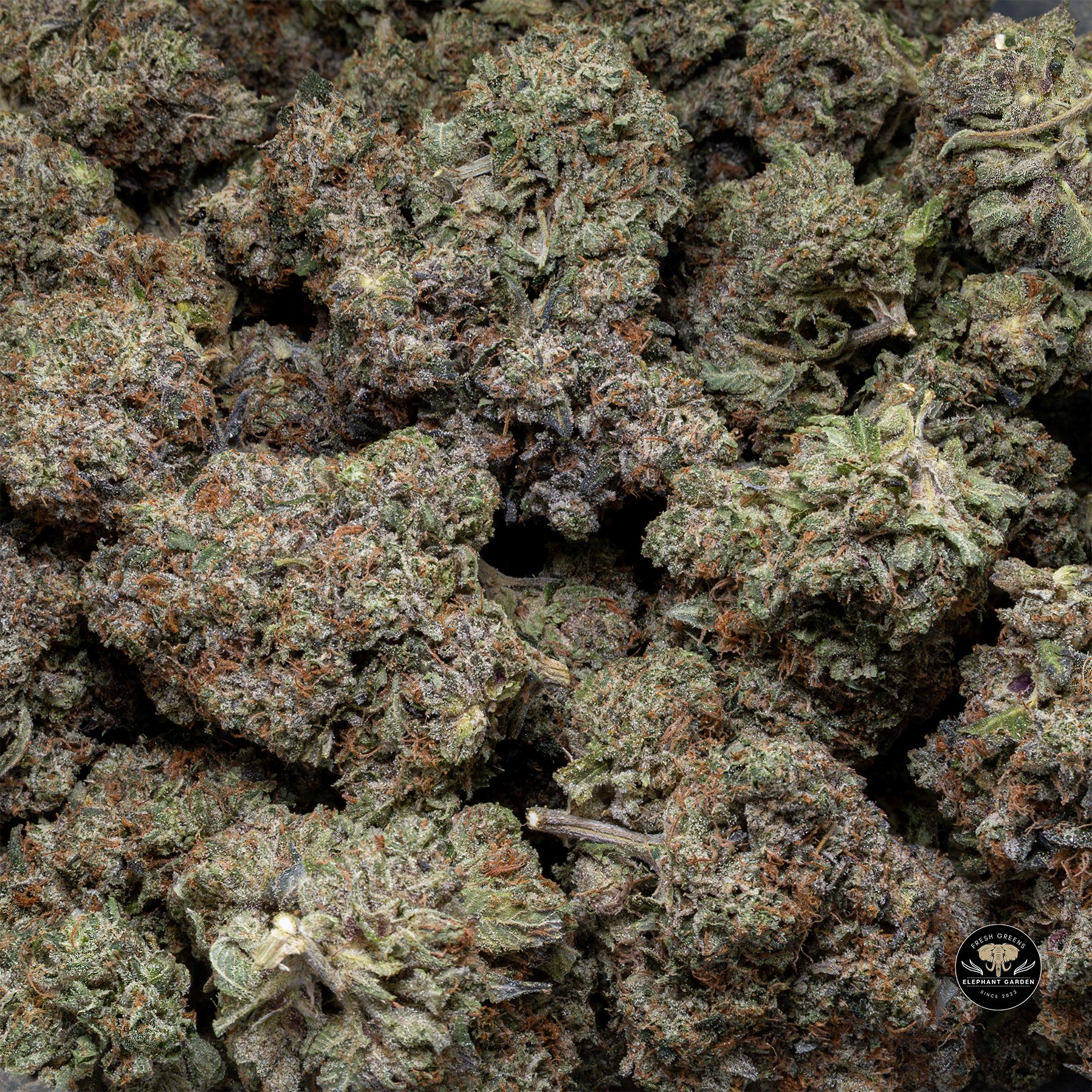 Bluefin Tuna (Bulk) - Indica - AAA+