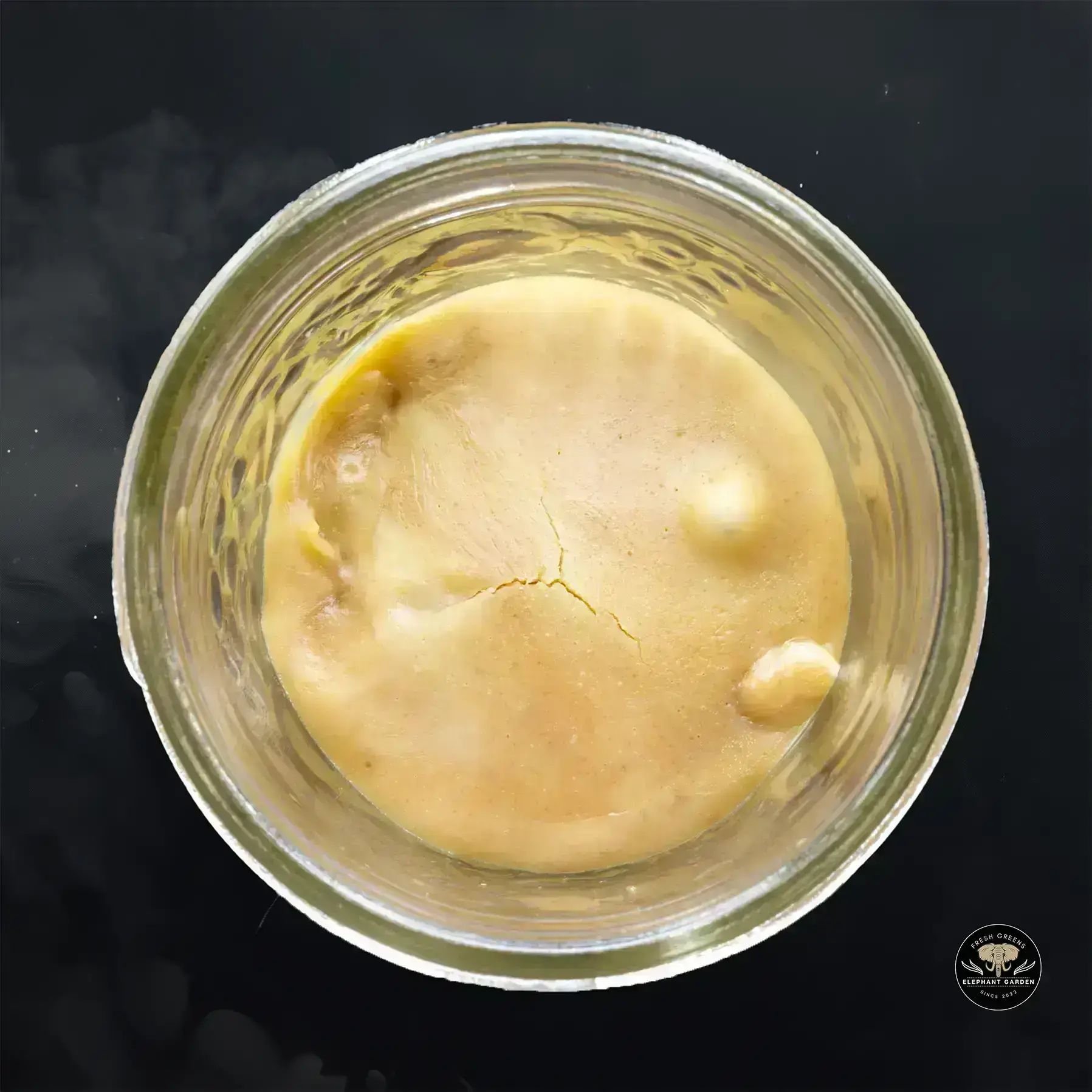 Buy Cannalope at Elephant Garden Co Weed Dispensary Float 11 13 24 4
