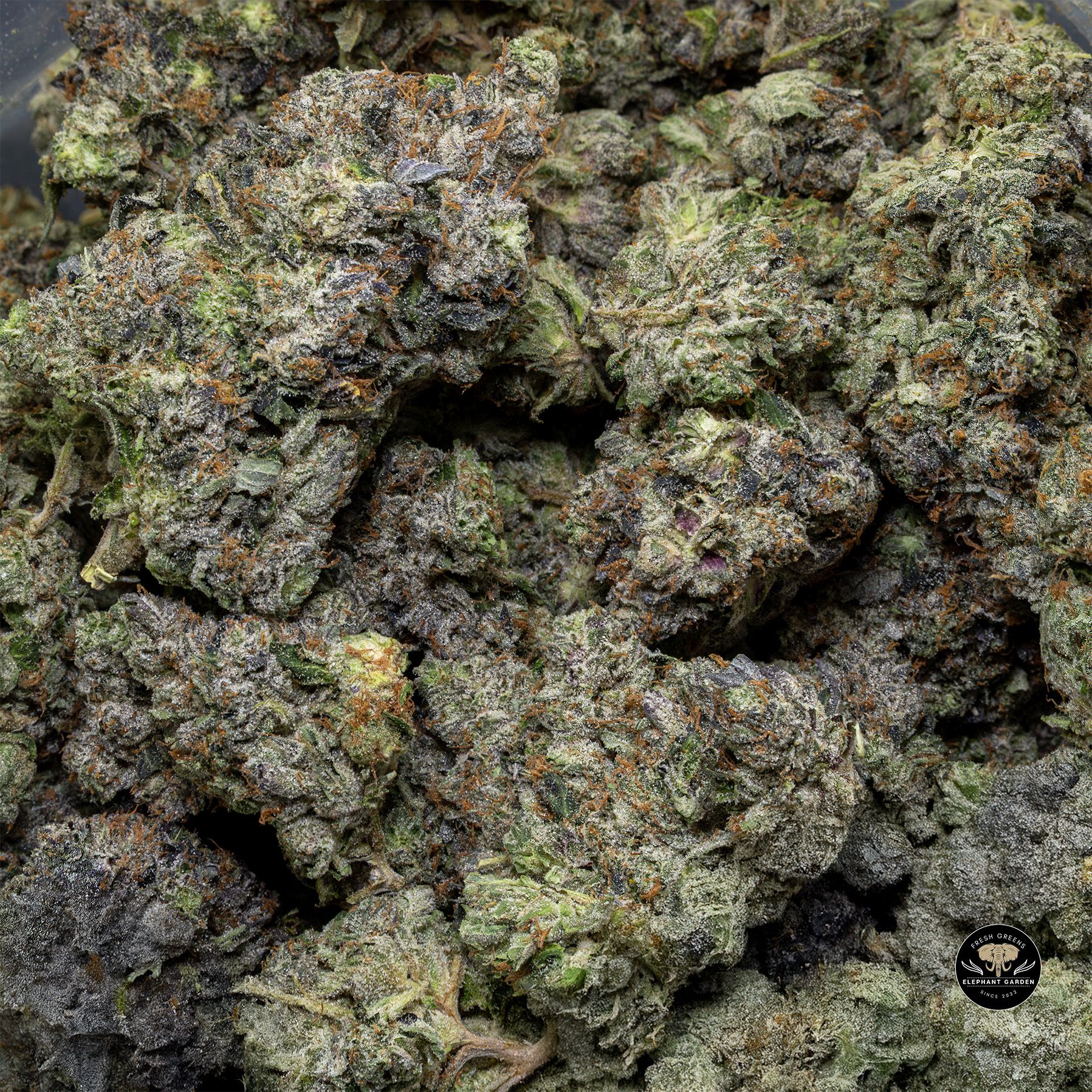 Buy 3 in the Pink LSO at Elephant Garden Co Weed Dispensary Bulk 1 28 25