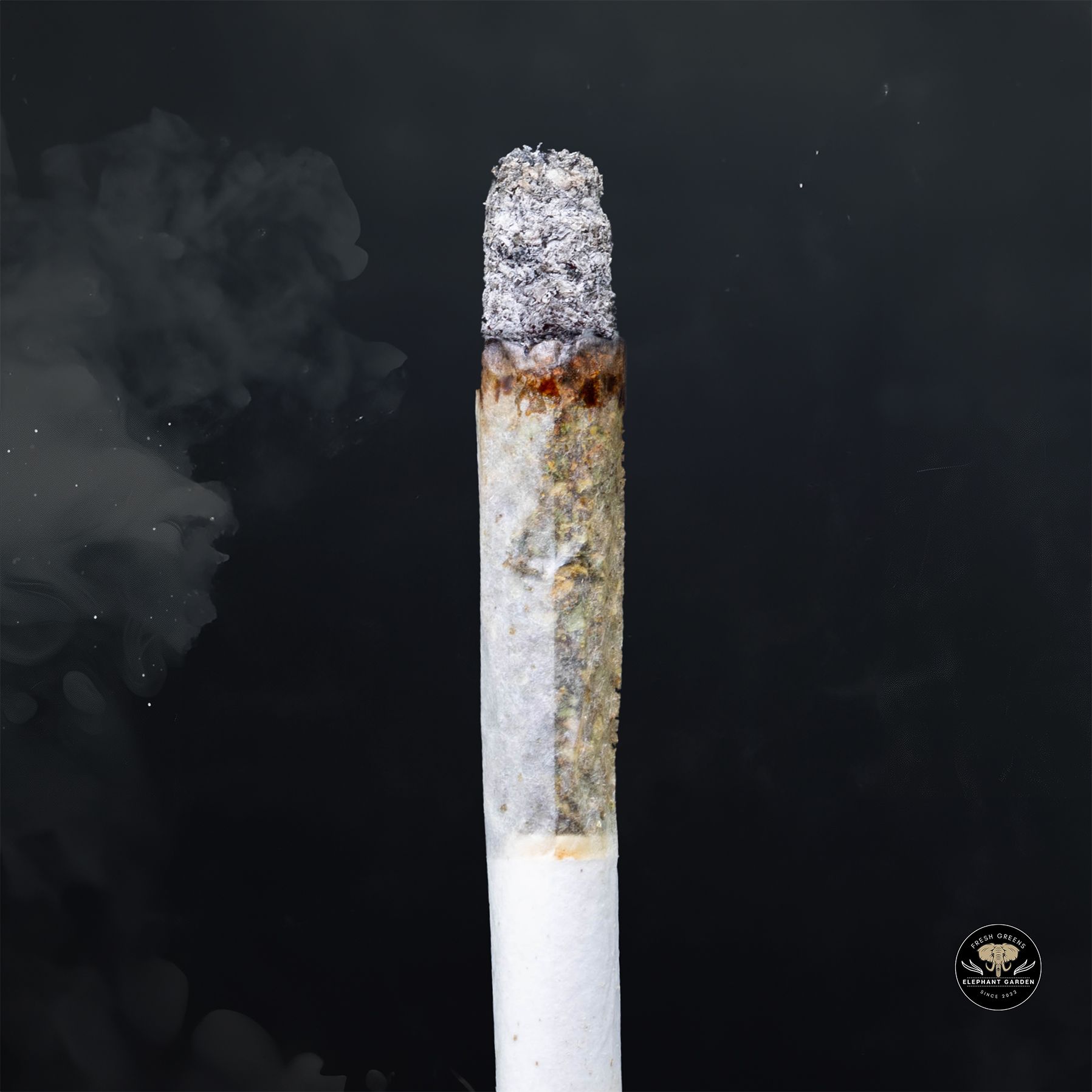 Master Kush (Bulk) - Indica - AAA - Image 2