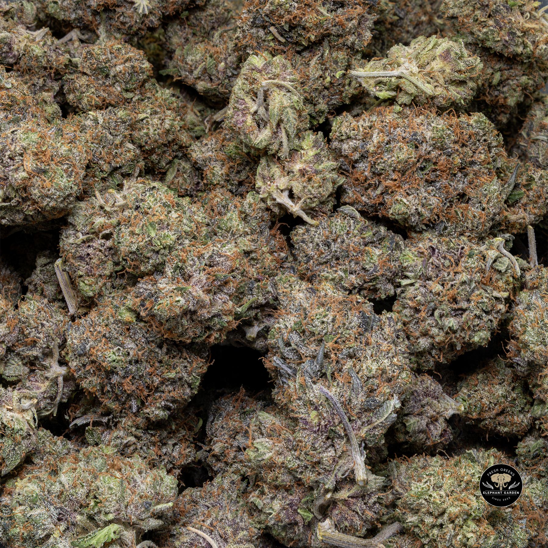 Buy Pink Gas at Elephant Garden Co Weed Dispensary Bulk 3 6 25
