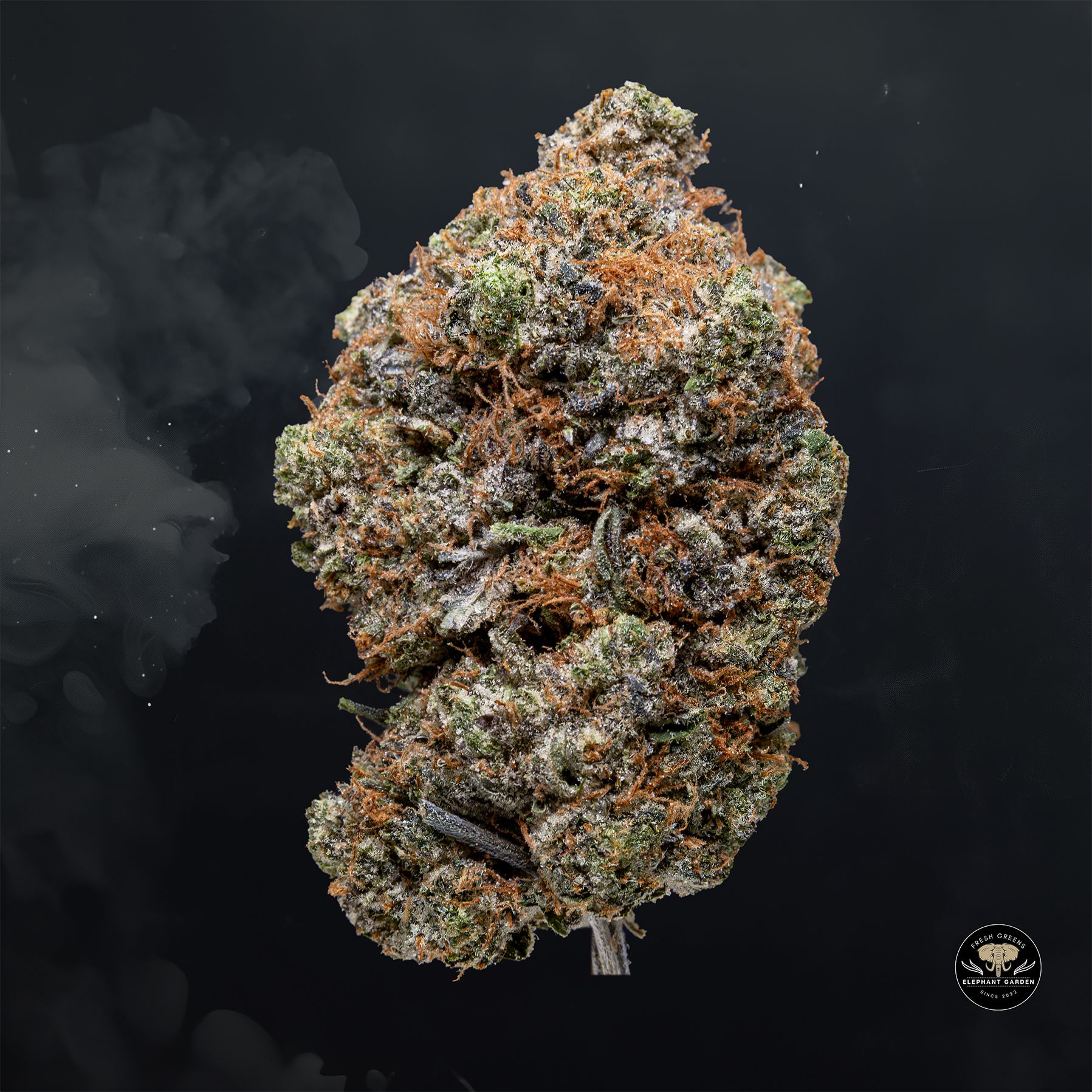 Buy Pink Gas at Elephant Garden Co Weed Dispensary Float 3 11 25 2