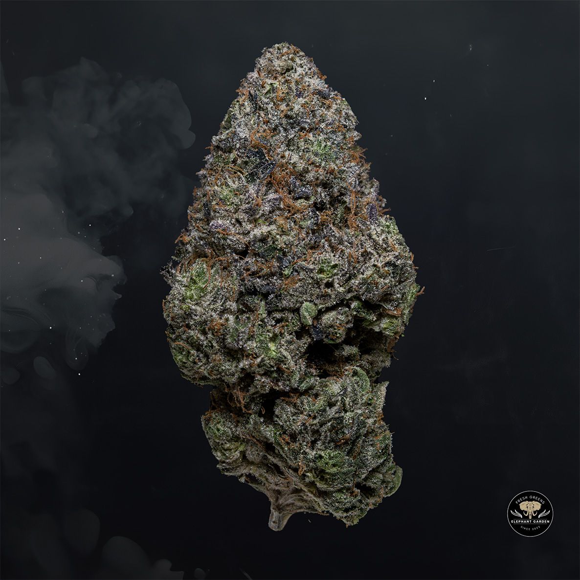 Buy Black Gas at Elephant Garden Co Weed Dispensary Float 4 15 25 2