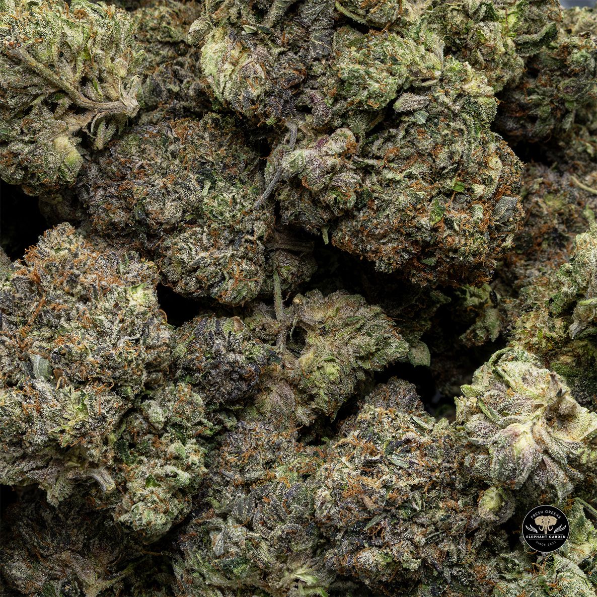 Buy MKU 2 at Elephant Garden Co Weed Dispensary Bulk 5 15 25 2