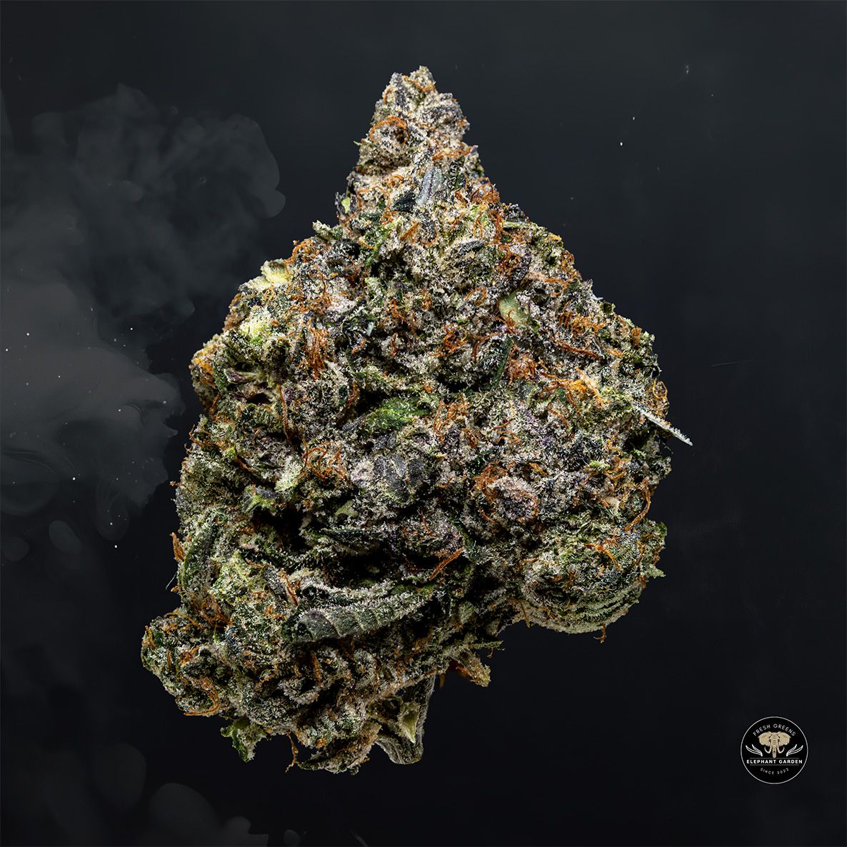 Buy MKU 2 at Elephant Garden Co Weed Dispensary Float 5 15 25 2