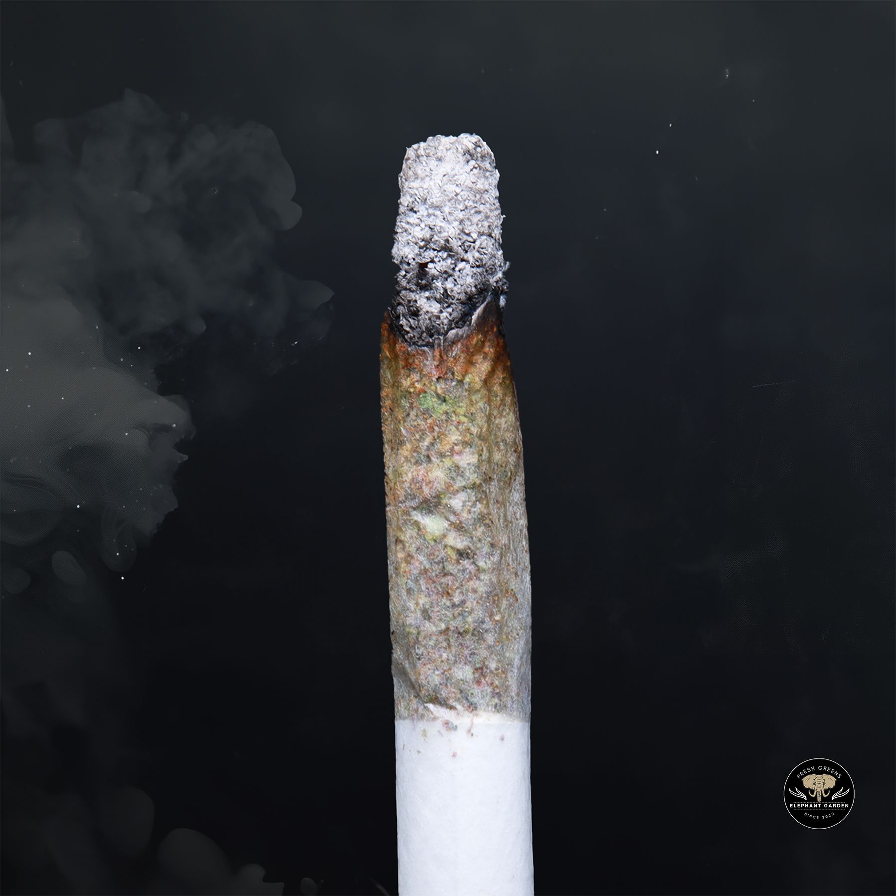 Sugar Cookie (Bulk) - Indica - AAA+ - Image 2