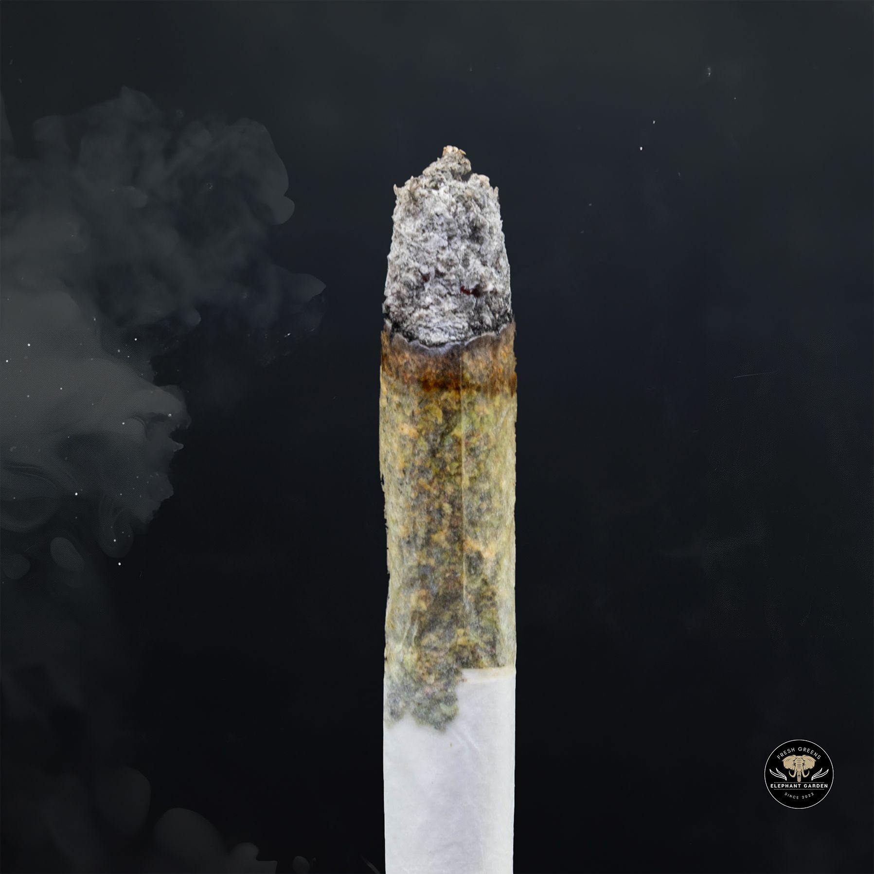 Buy Black Cherry Soda at Elephant Garden Co Weed Dispensary Burn 1 23 25