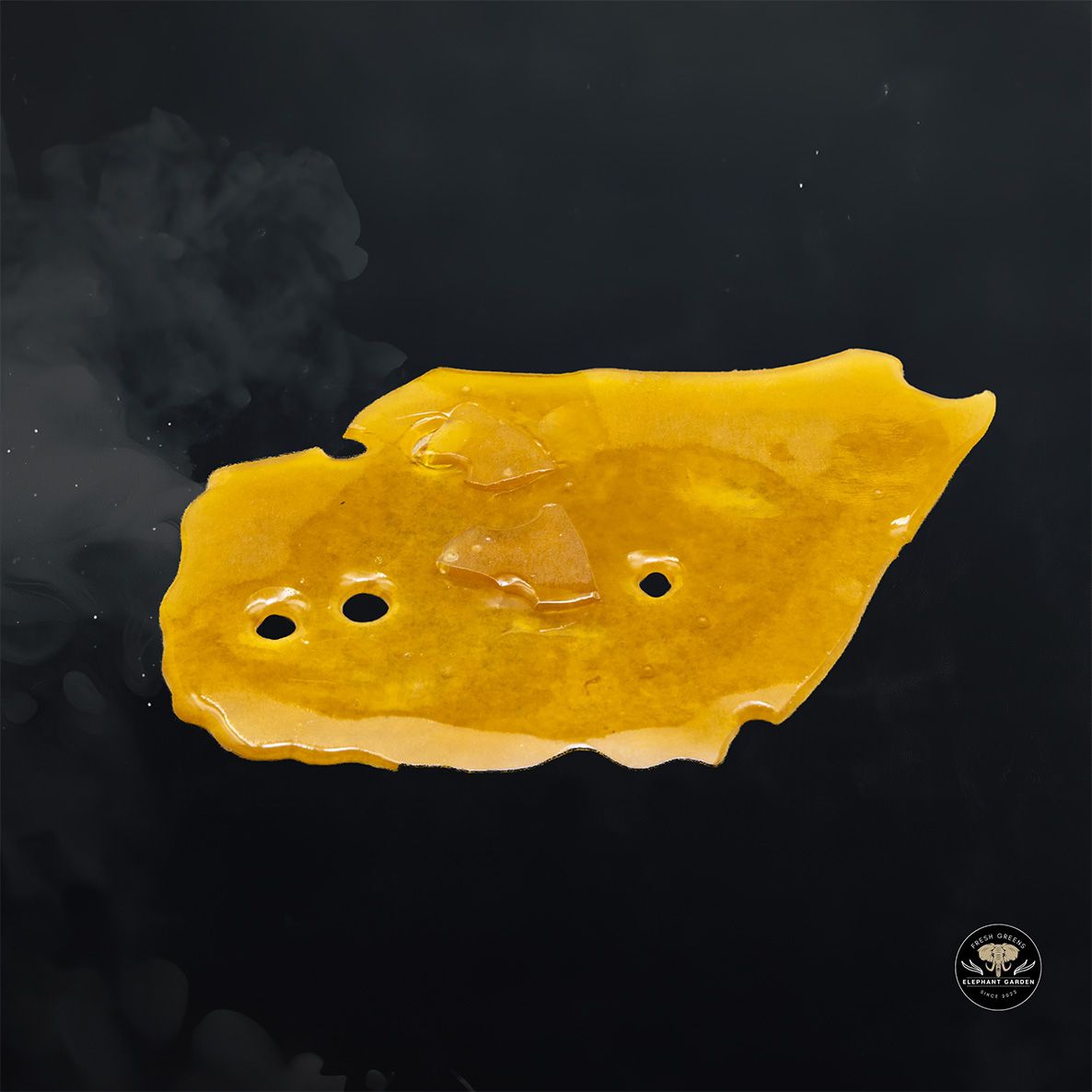 Buy Purple Kush Shatter at Elephant Garden Co Weed Dispensary Float 4 15 25 2