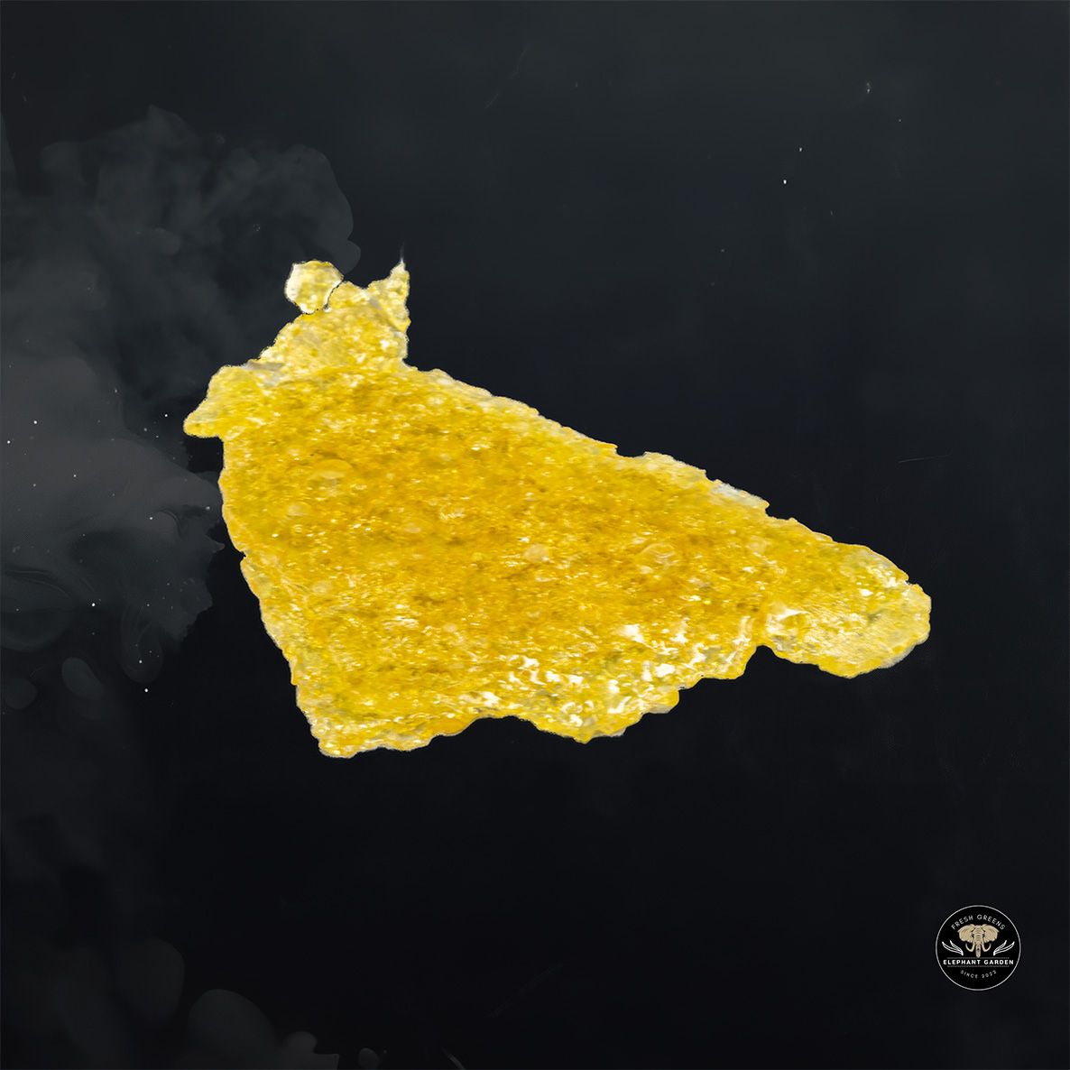 Buy Skywalker Shatter at Elephant Garden Co Weed Dispensary Float 4 15 25 2