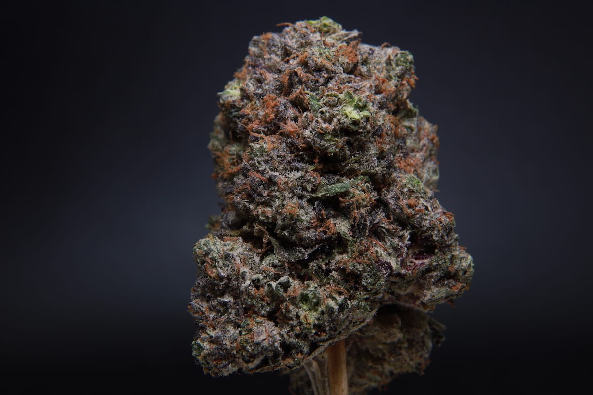 Supreme Death Bubba 2 (Bulk) - Indica - AAAA