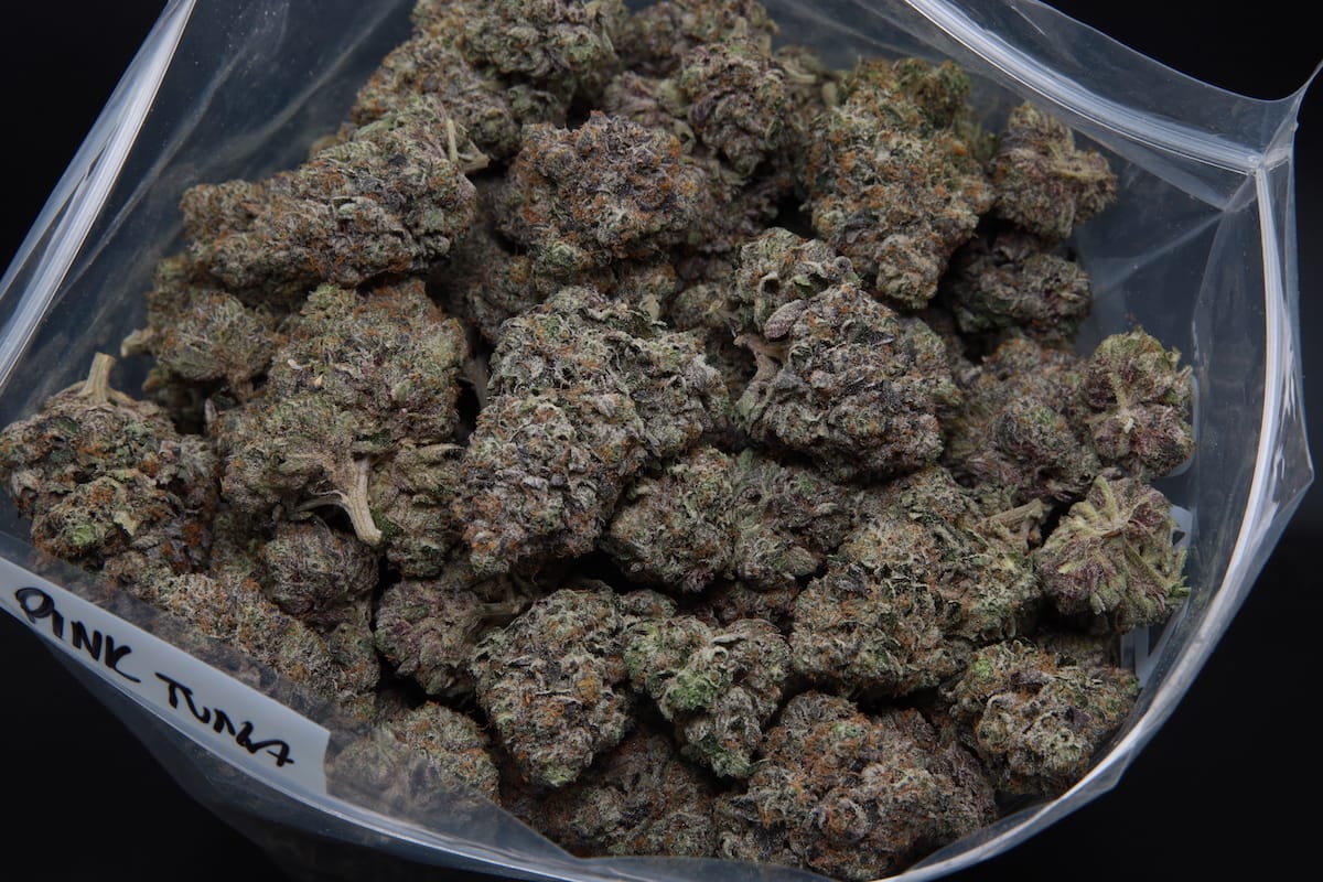 Supreme Death Bubba 2