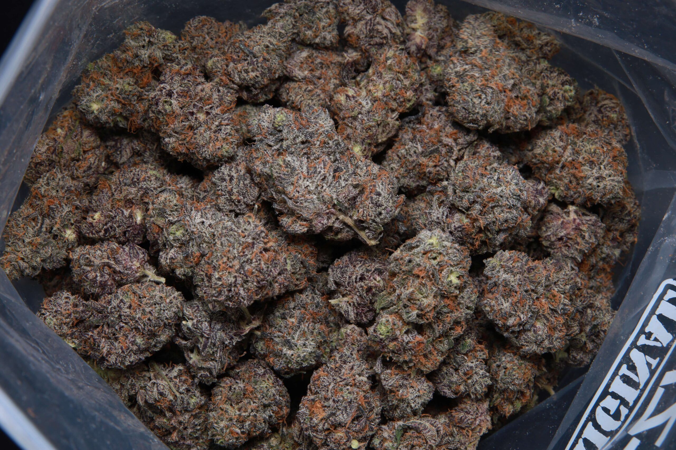 Phantom Cookies - Hybrid - AAA-