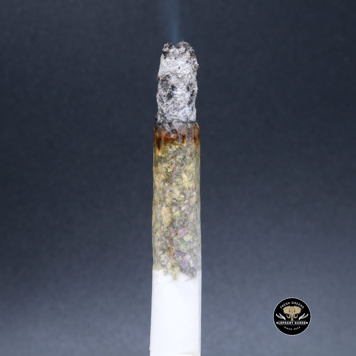 Buy Comatose Joints Indica AAA+ Online in Canada - Premium Cannabis Delivery at Elephant Garden