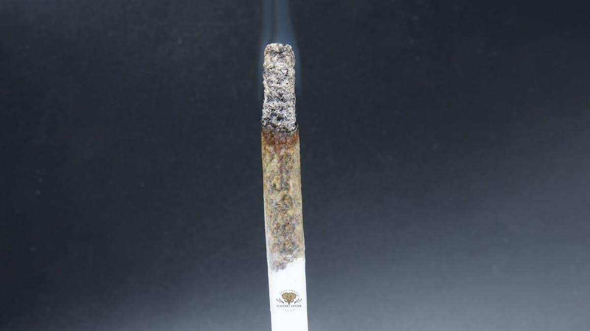 Death Fuel joint by Elephant Garden Buy Weed Gummies Online in Canada