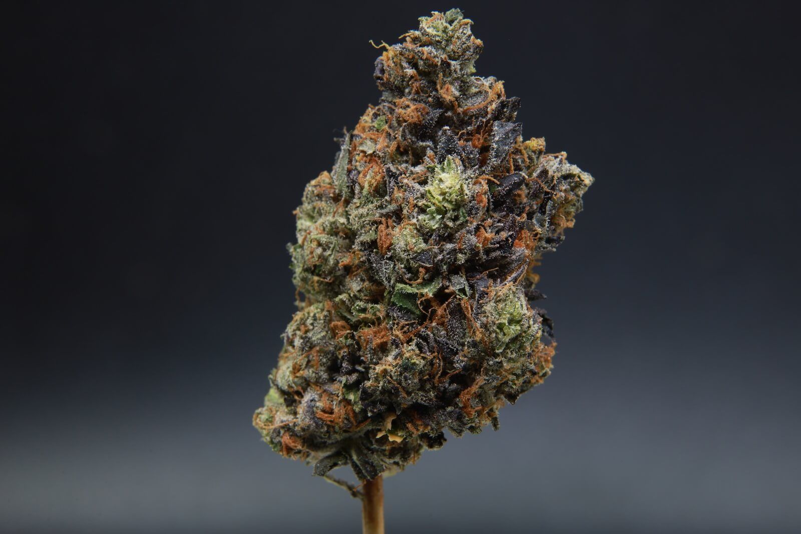 Death Walker OG Indica Flower