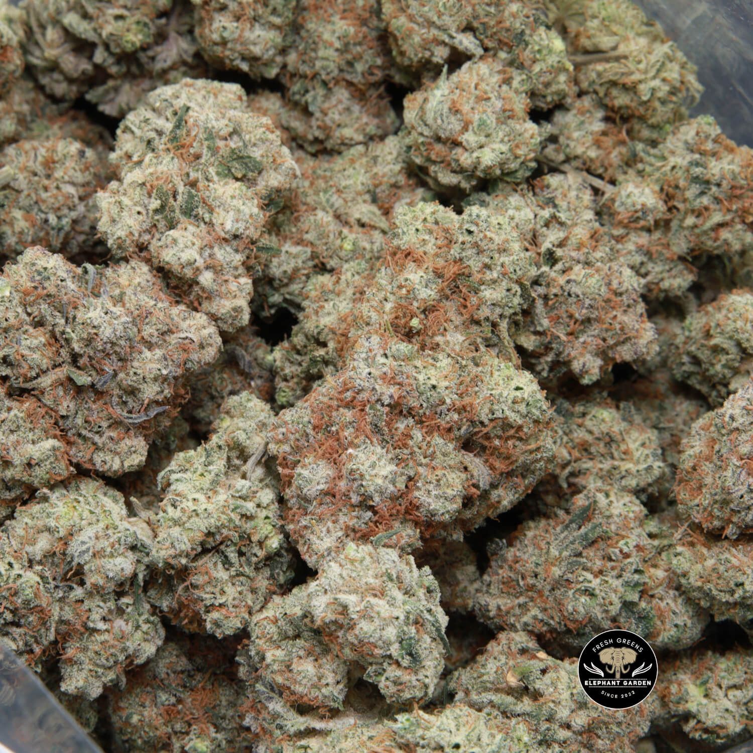 Buy Weed Online in Canada Donkey Butter bud