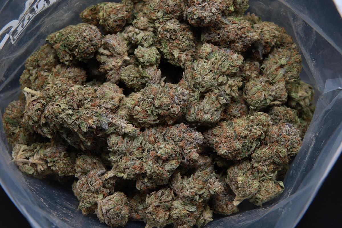 El Jefe - Indica - AAA