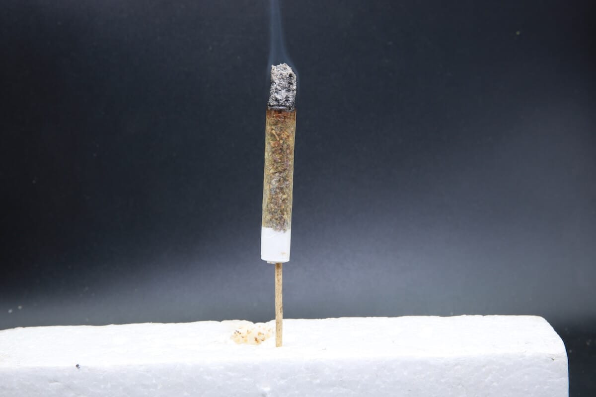 El Jefe - Indica - AAA Joint