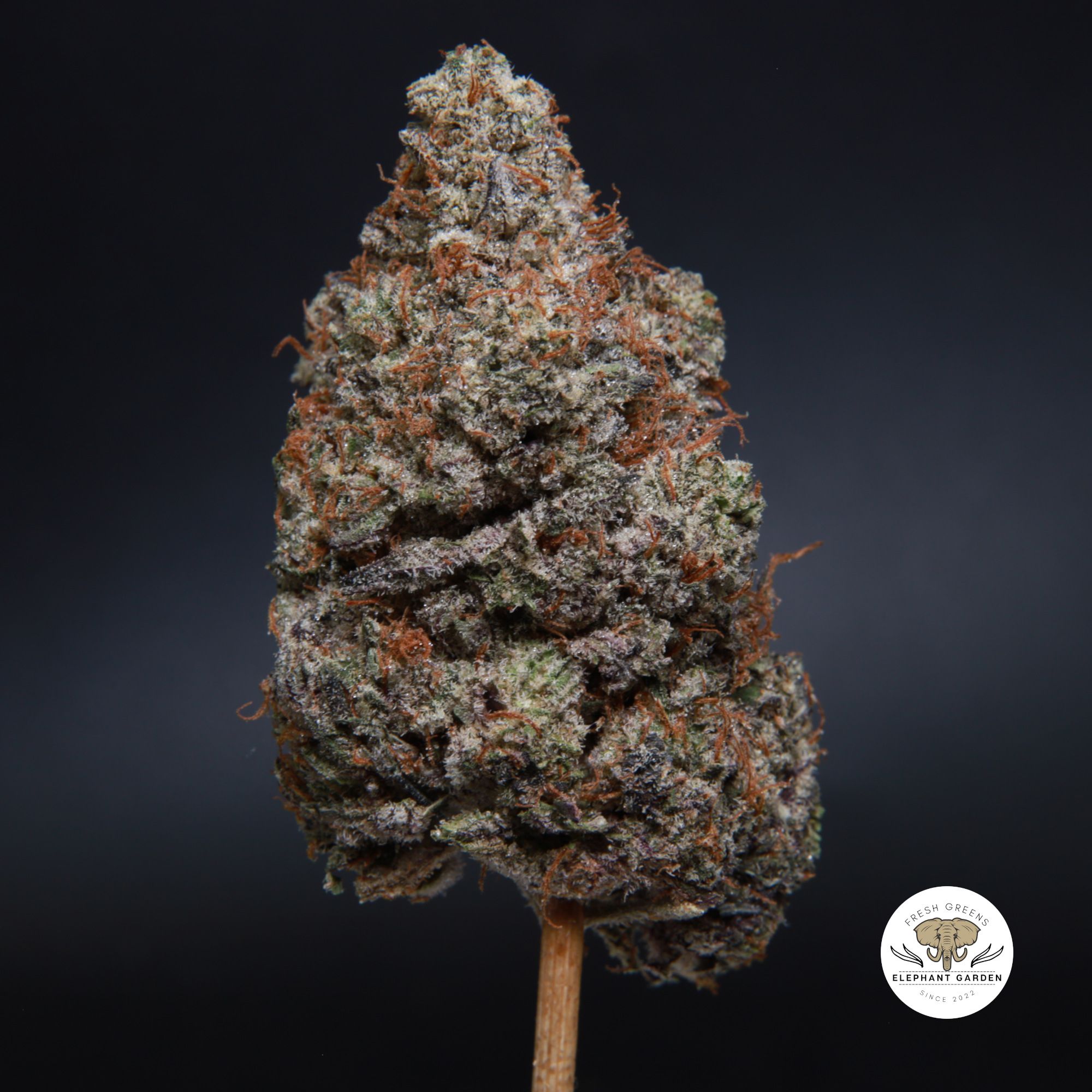 Buy Weed Online in Canada Afrodite