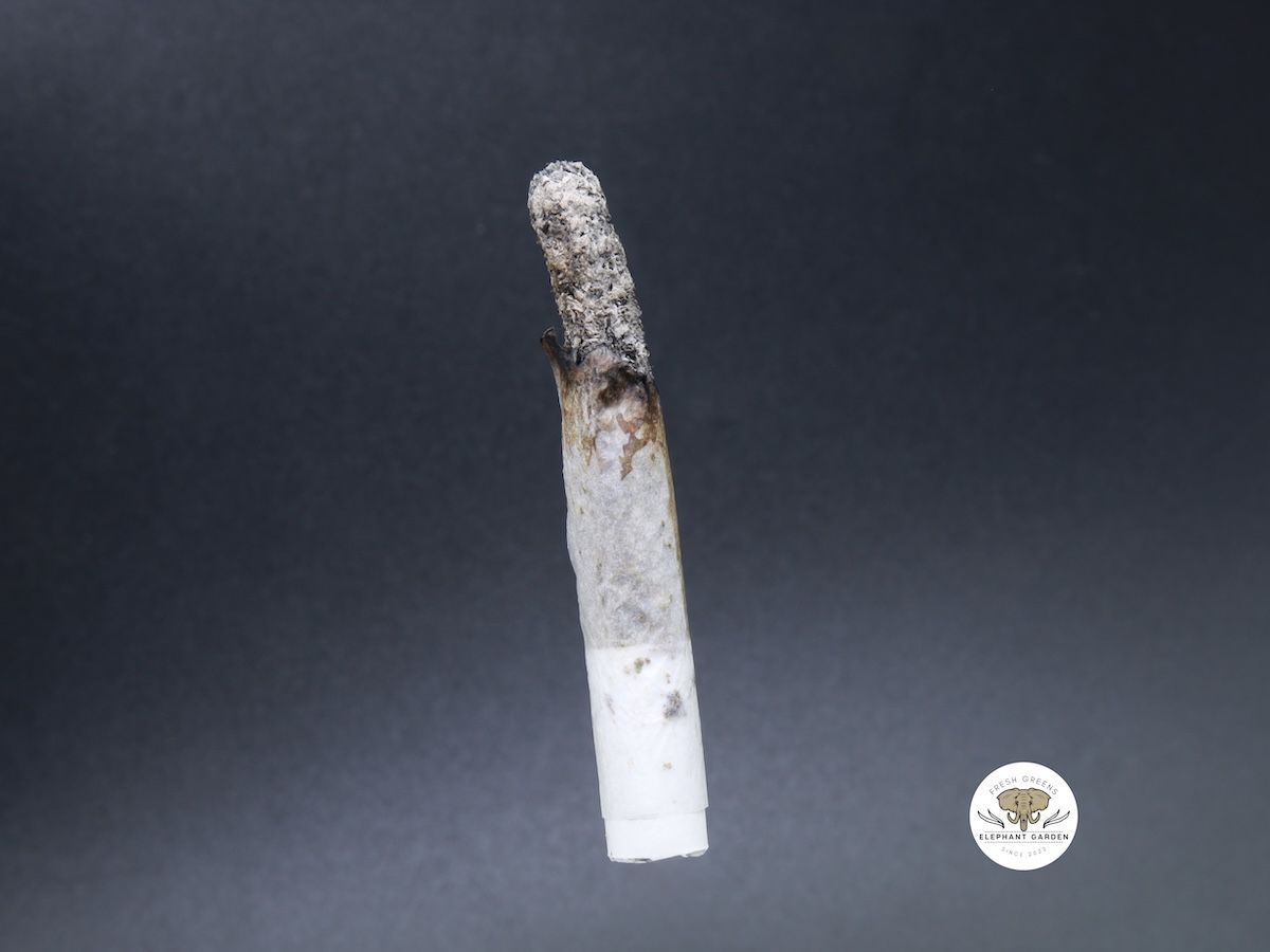Buy Weed Online in Canada Slurricane joint