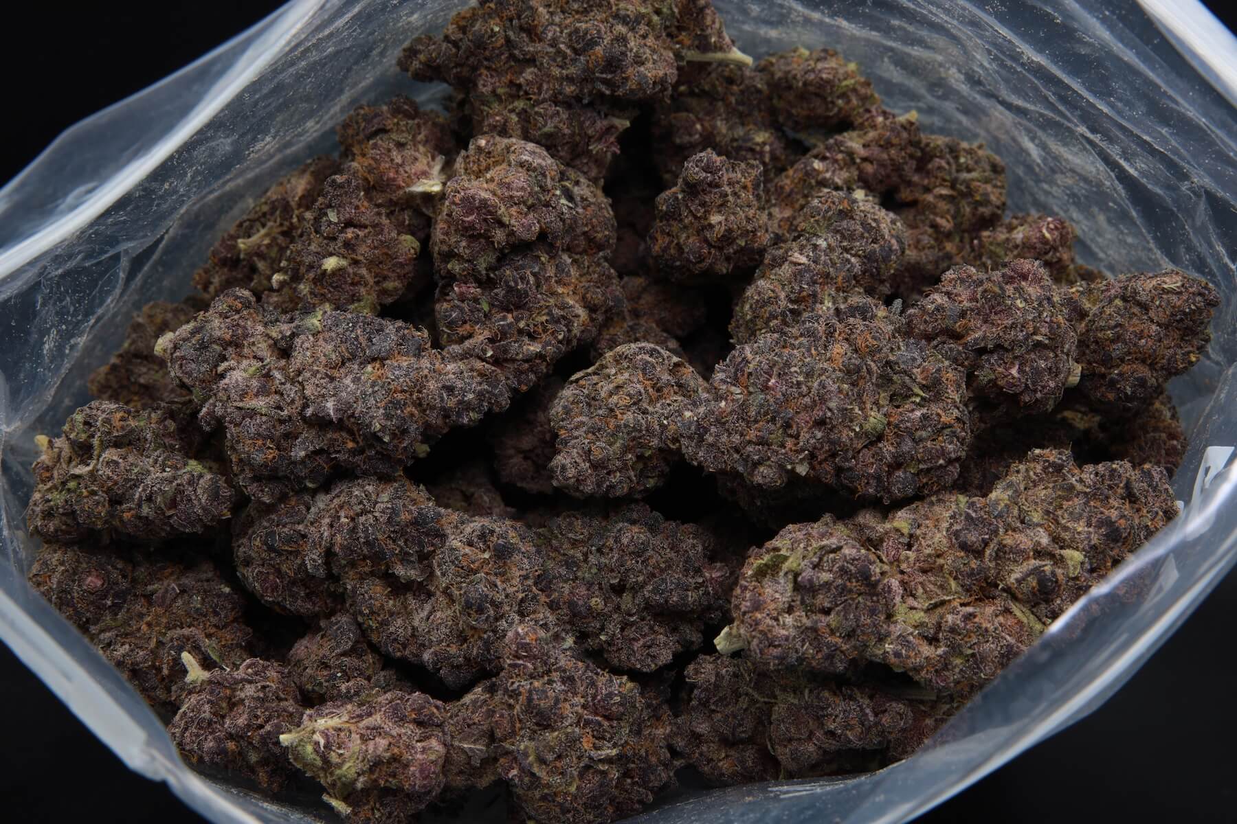 Elephant Garden Grape Gummiez Hybrid