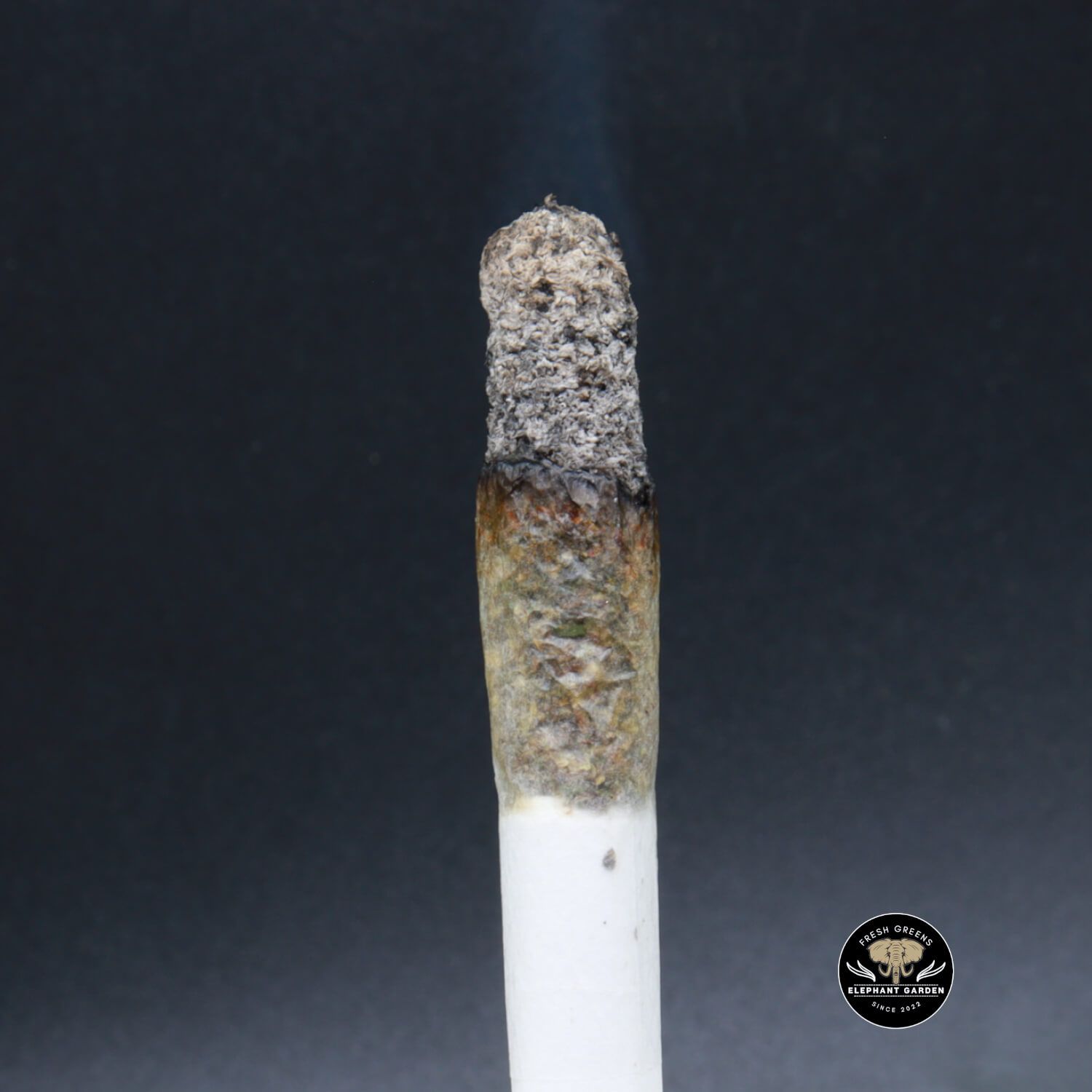 Elephant Garden Buy Weed Online in Canada, glitter bumb