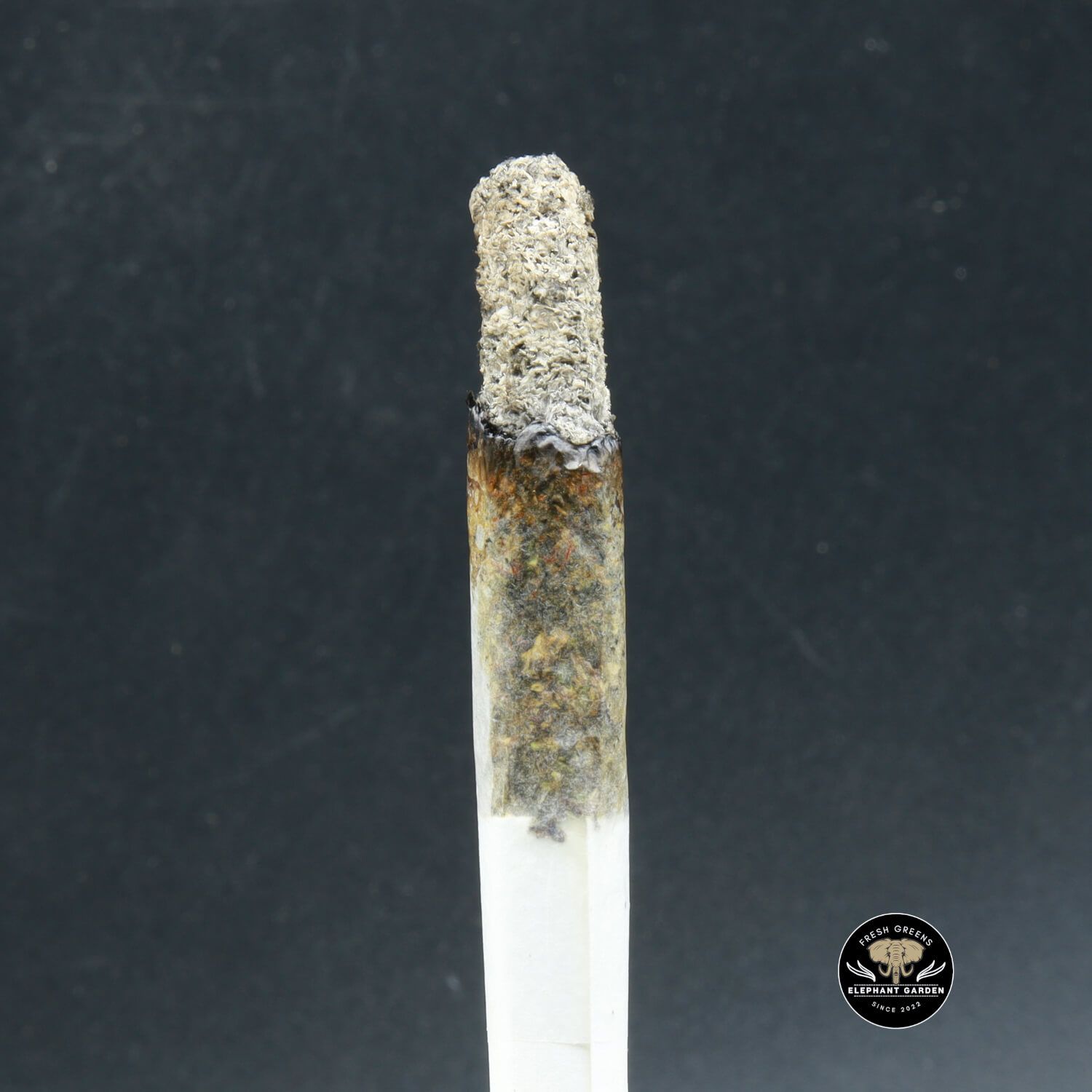 Buy Weed Online in Canada Phantom Cookies joint