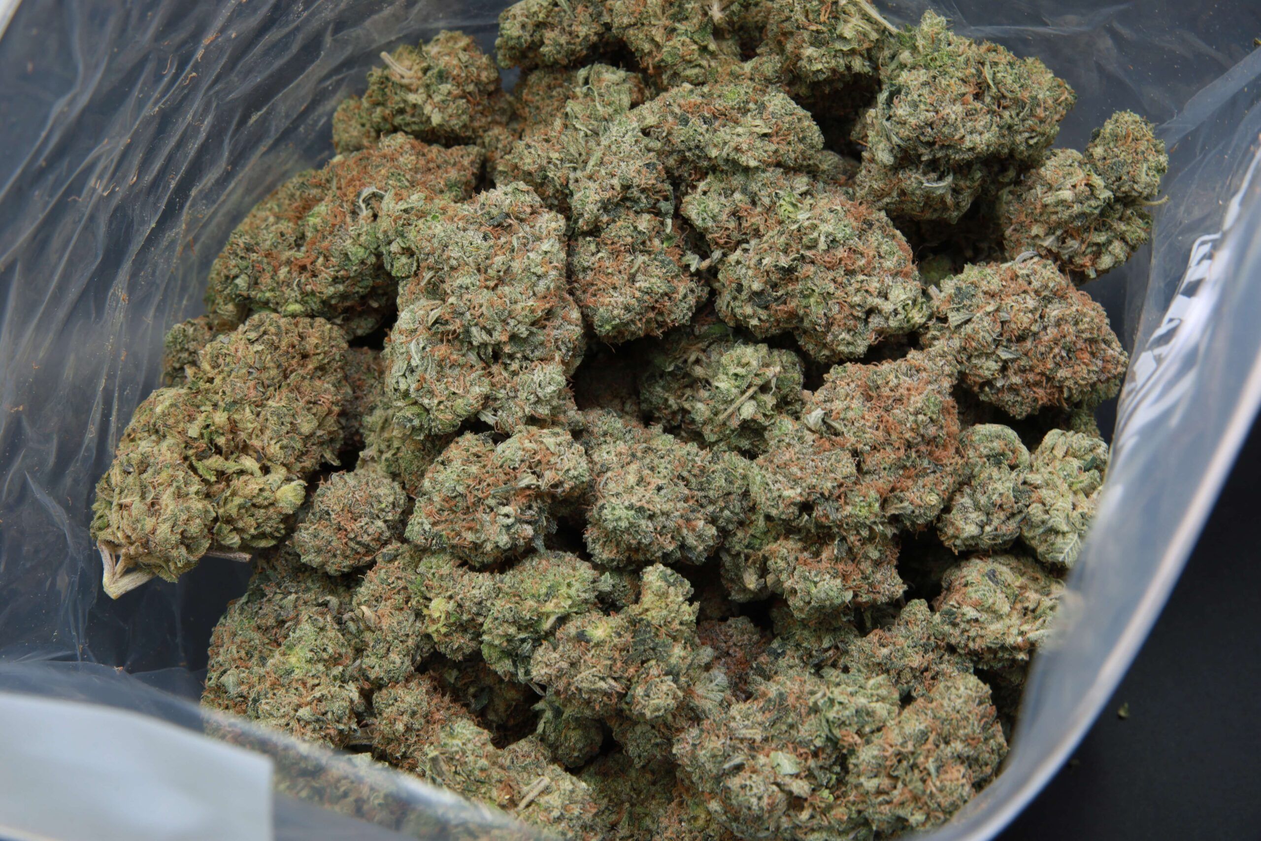 elephant garden Pink Deathstar bag