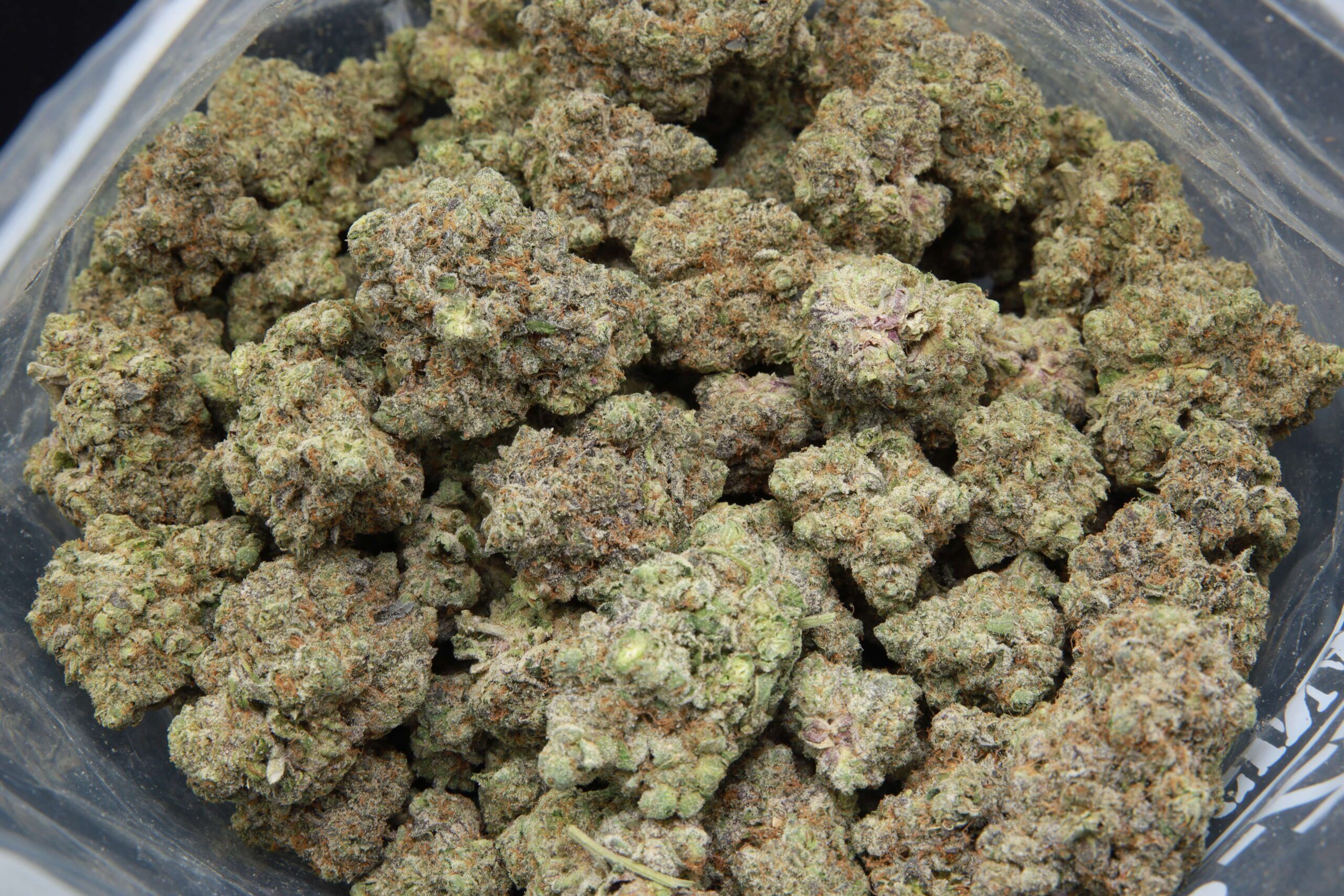 Elephant Garden Blue Zushi Hybrid bag