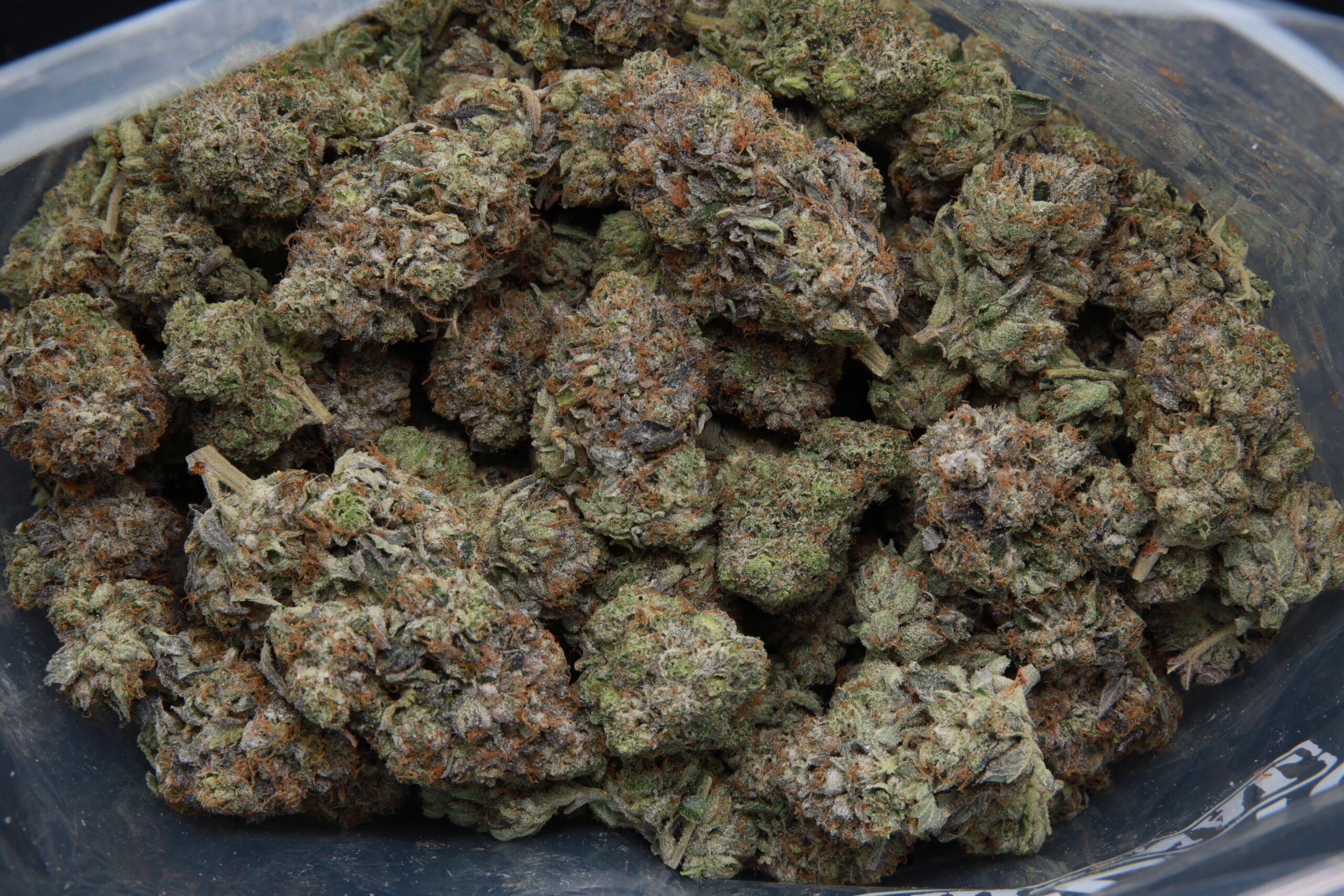 Death Reaper bag of bud at Elephant Garden