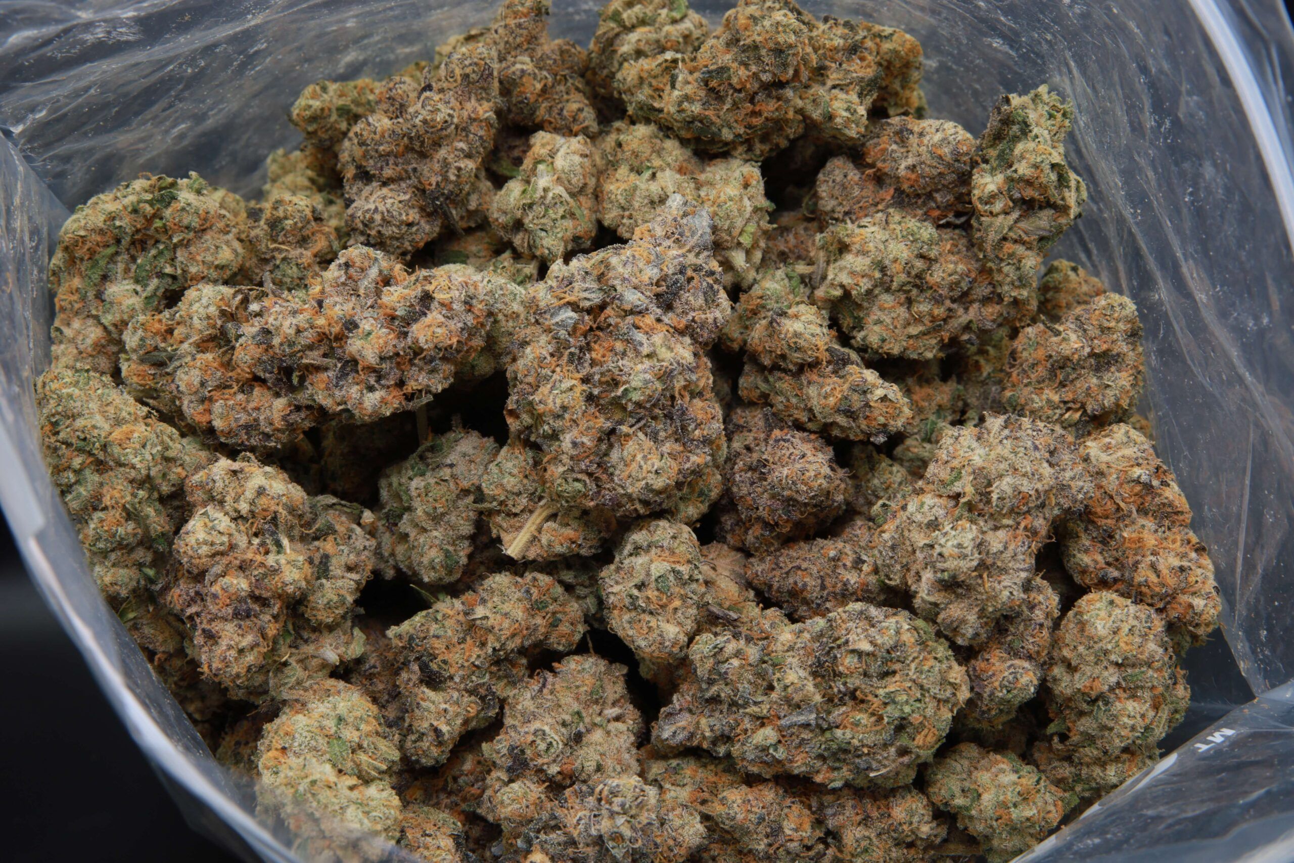 Tokyo Sunset - Hybrid - AAAA from Elephant Garden Bag Image