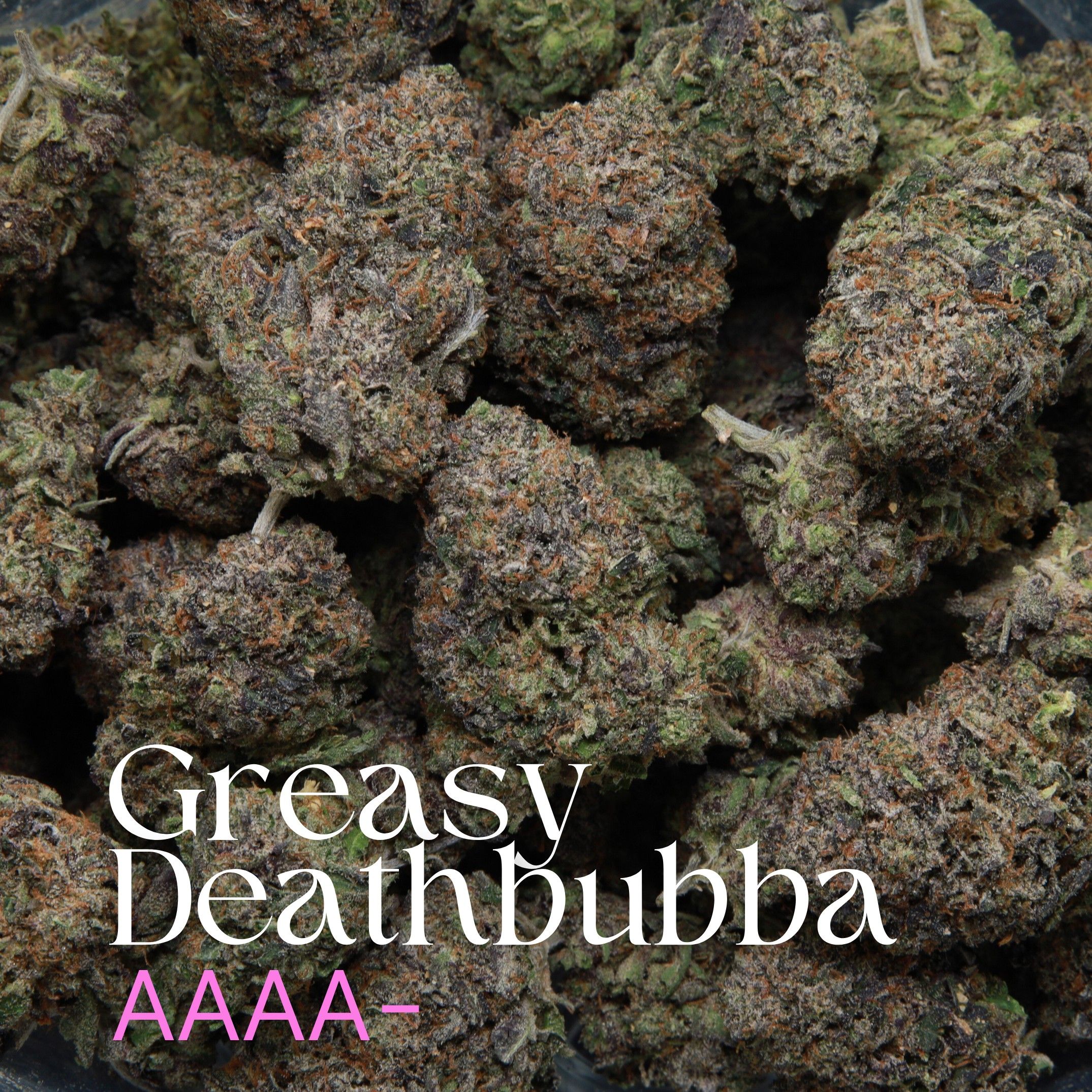 Bag of multiple buds of Greasy Deathbubba cannabis from Elephant Garden