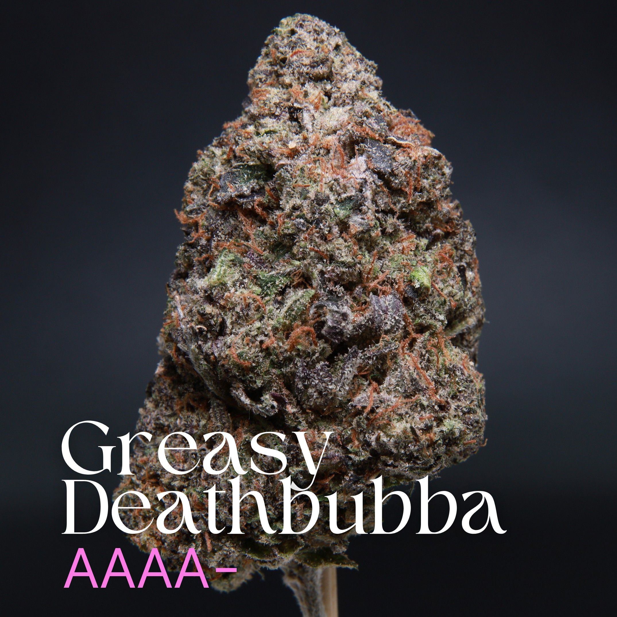 Buy Greasy Deathbubba from Elephant Garden.