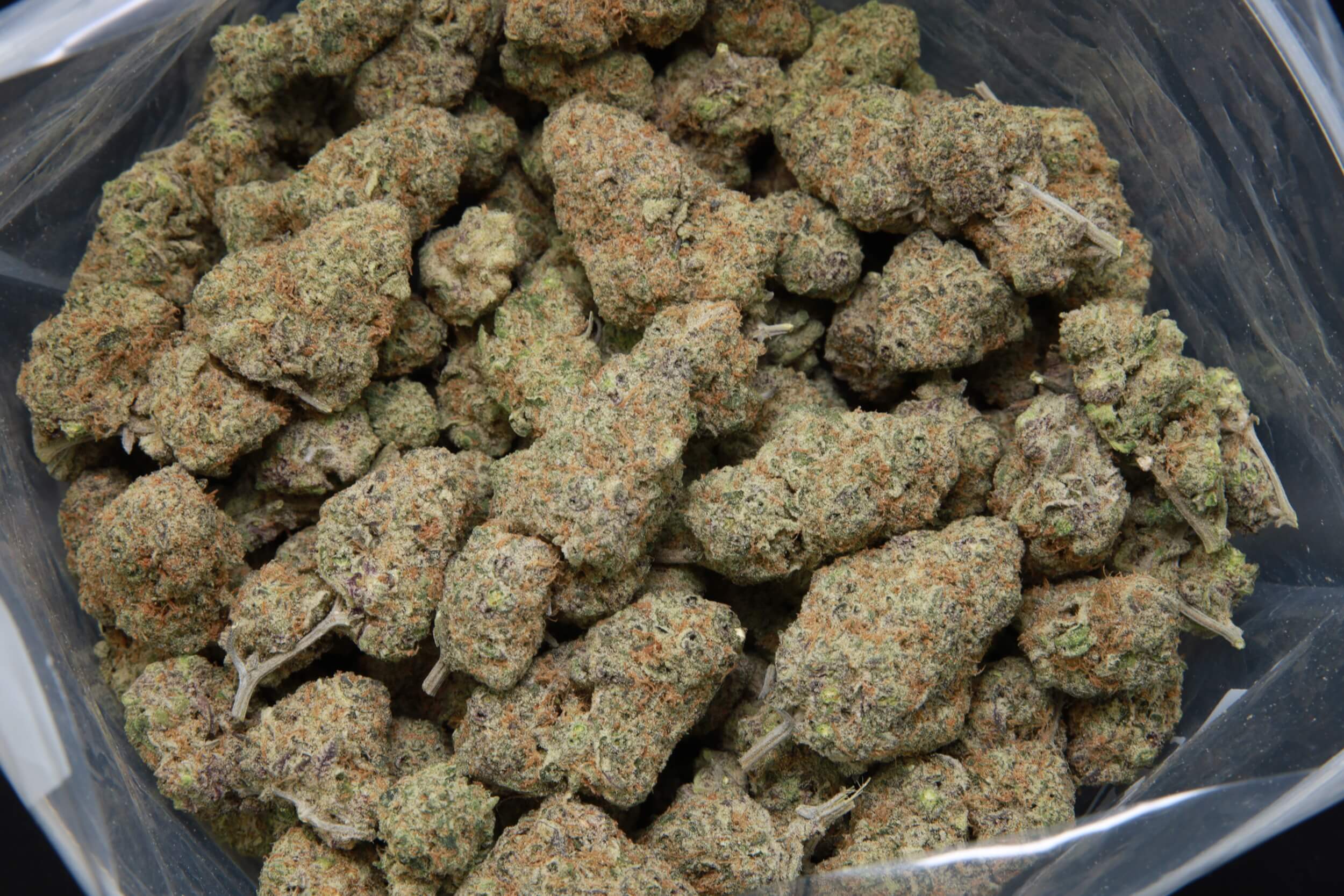 Premium bag of Caramel Candy Kush AAA+ hybrid cannabis flower from Elephant Garden