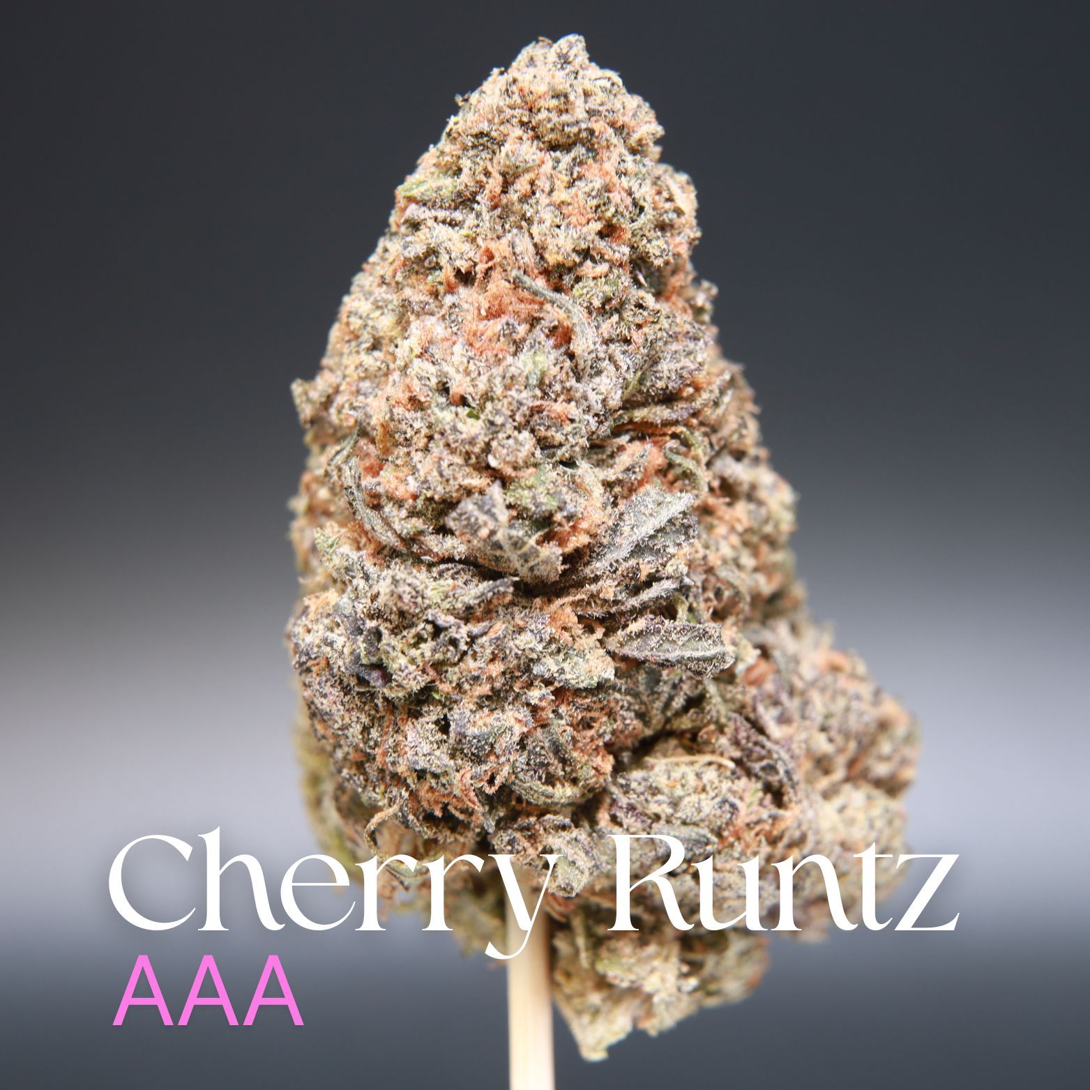 Buy Cherry Runtz from Elephant Garden