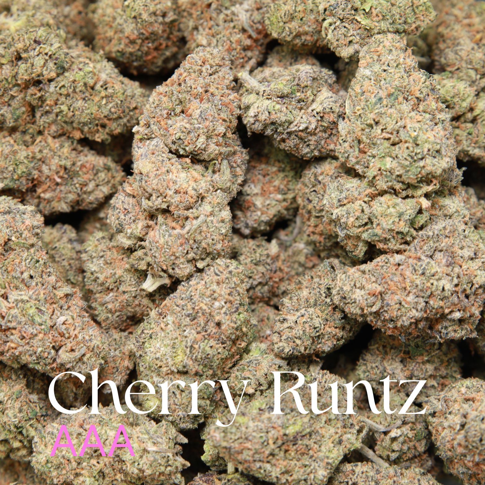 Buy Cherry Runtz from Elephant Garden