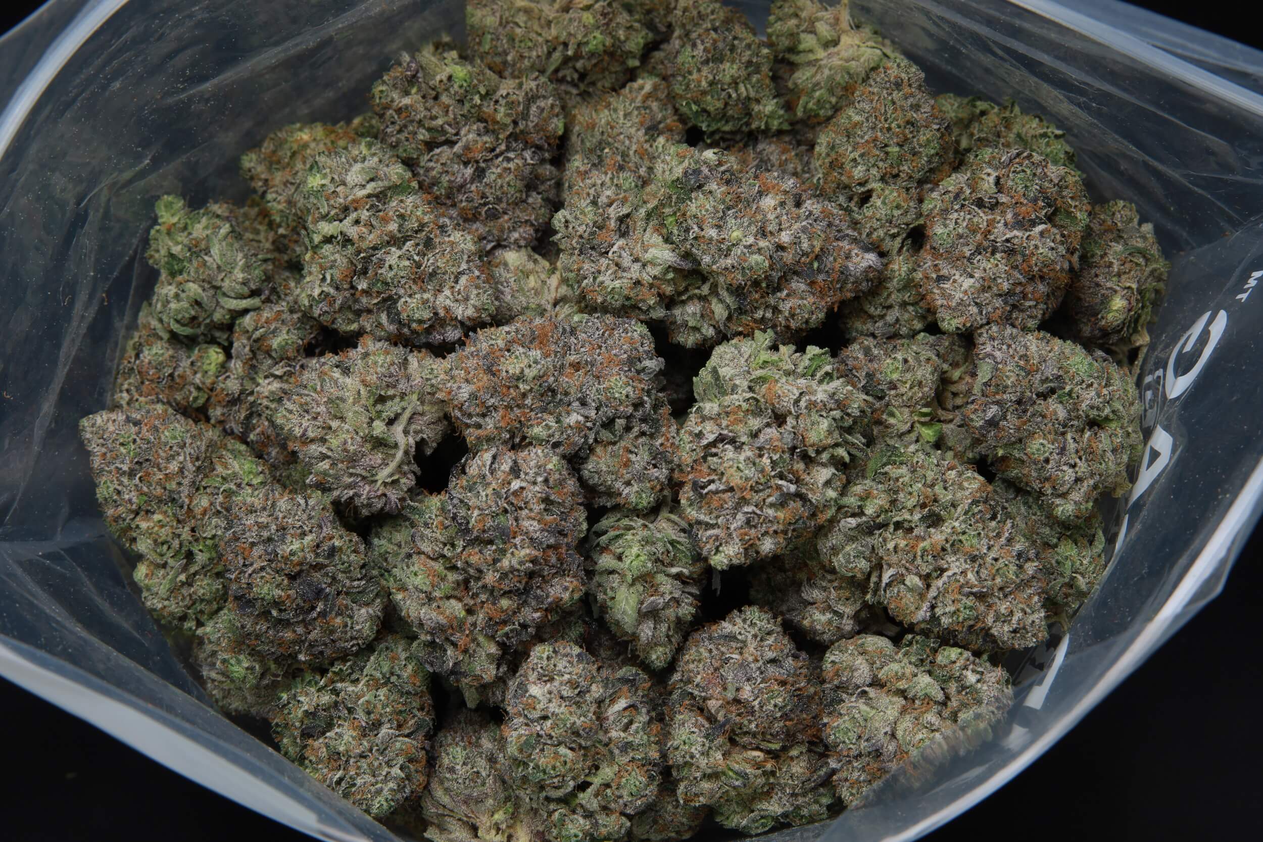 Bag of Death Bubba from Elephant Garden