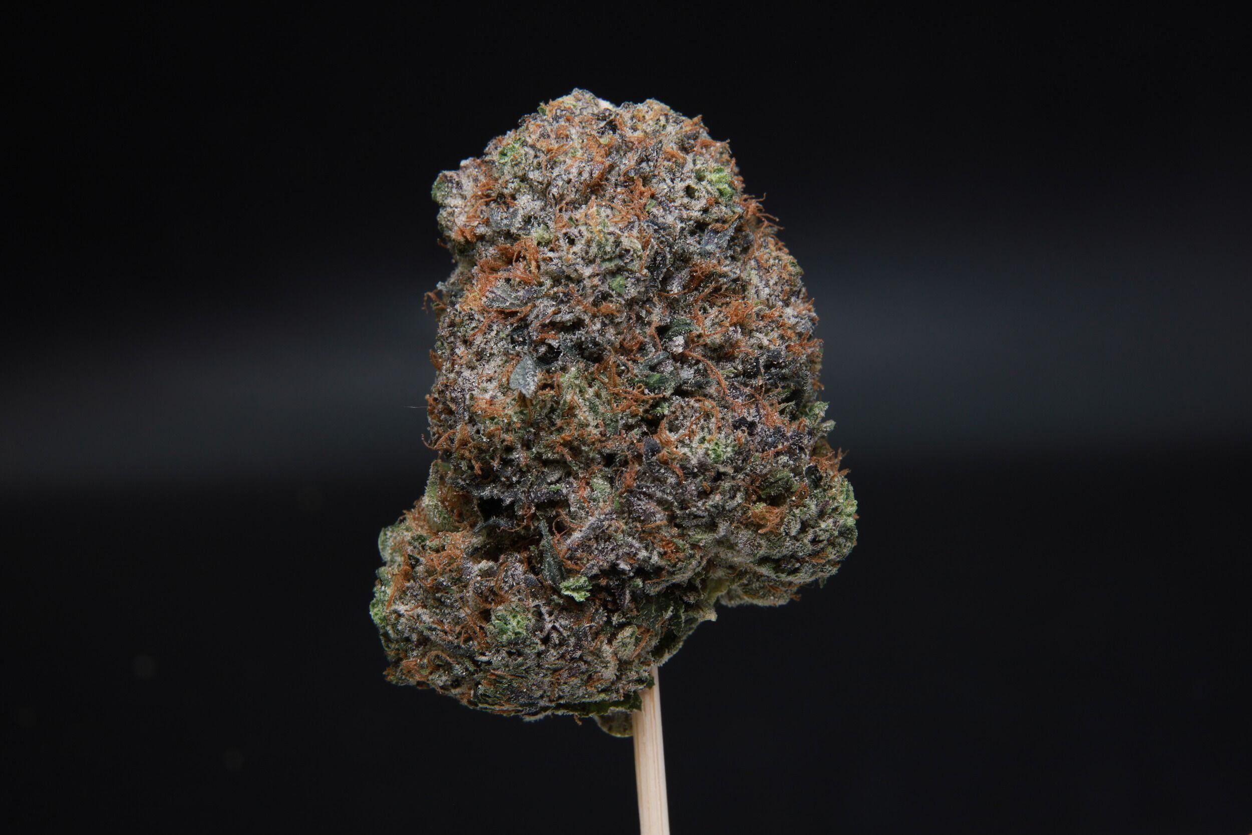 Nugget of Death Bubba from Elephant Garden