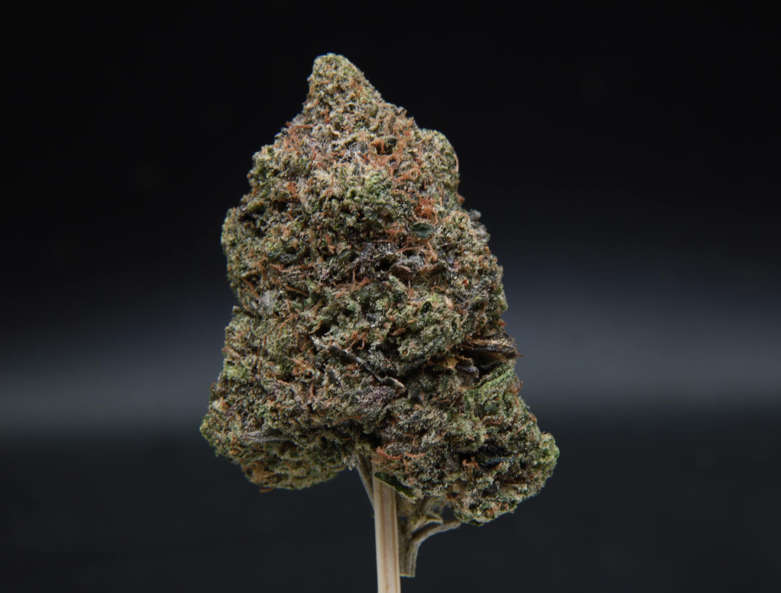 Death Valley OG from Elephant Garden