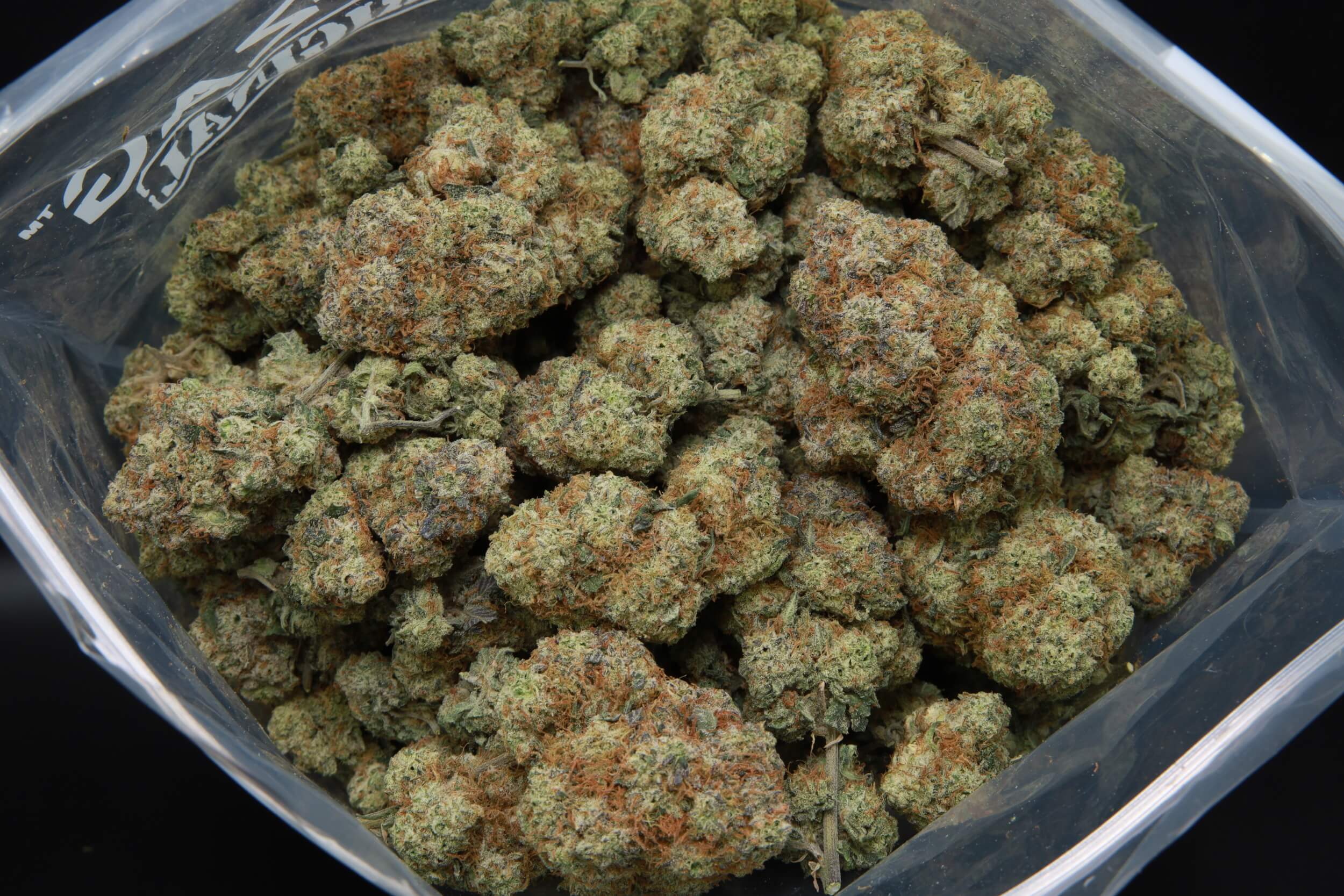 Buy Donkey Kong Hybrid weed bags at Elephant Garden