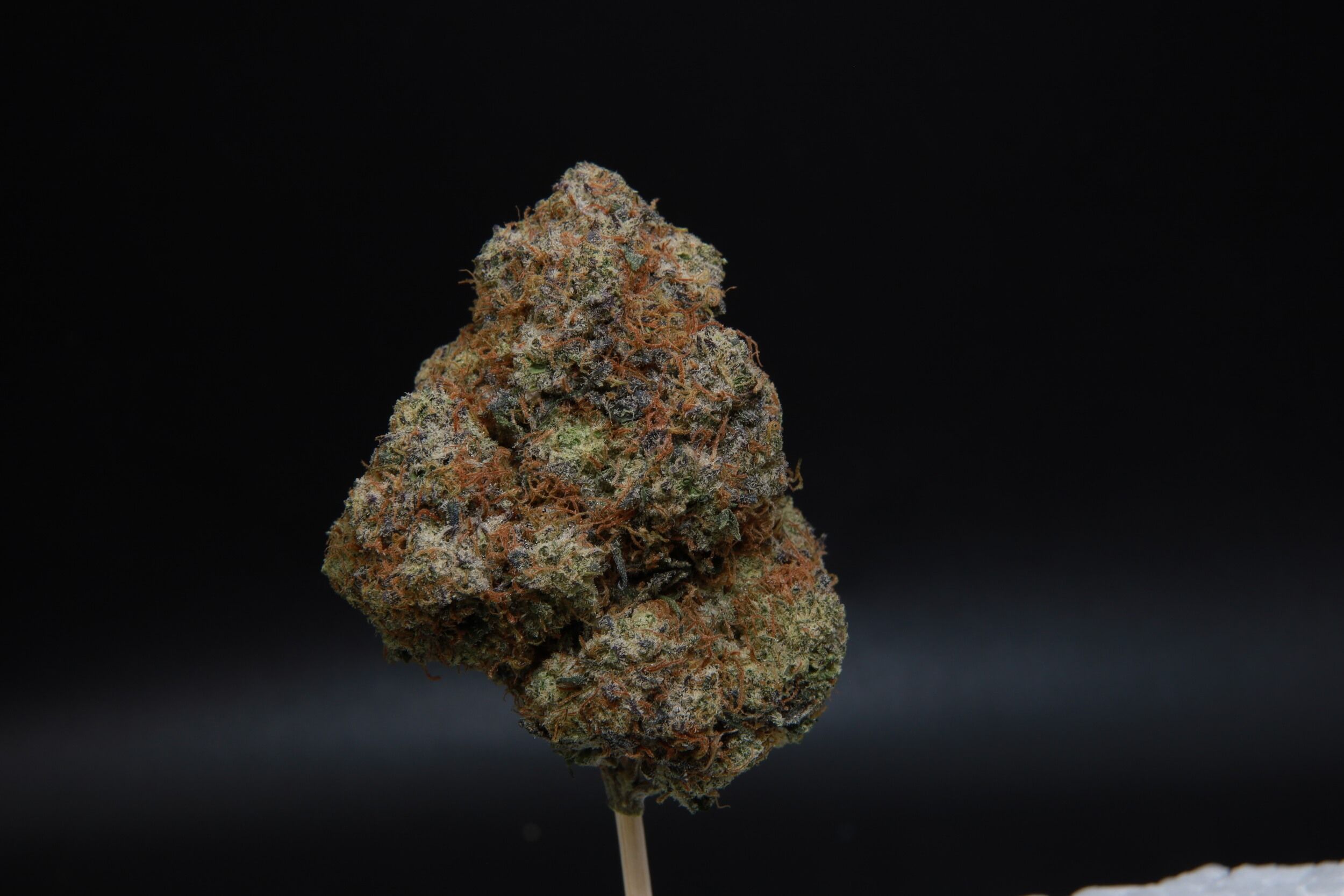 Buy Donkey Kong Hybrid weed at Elephant Garden