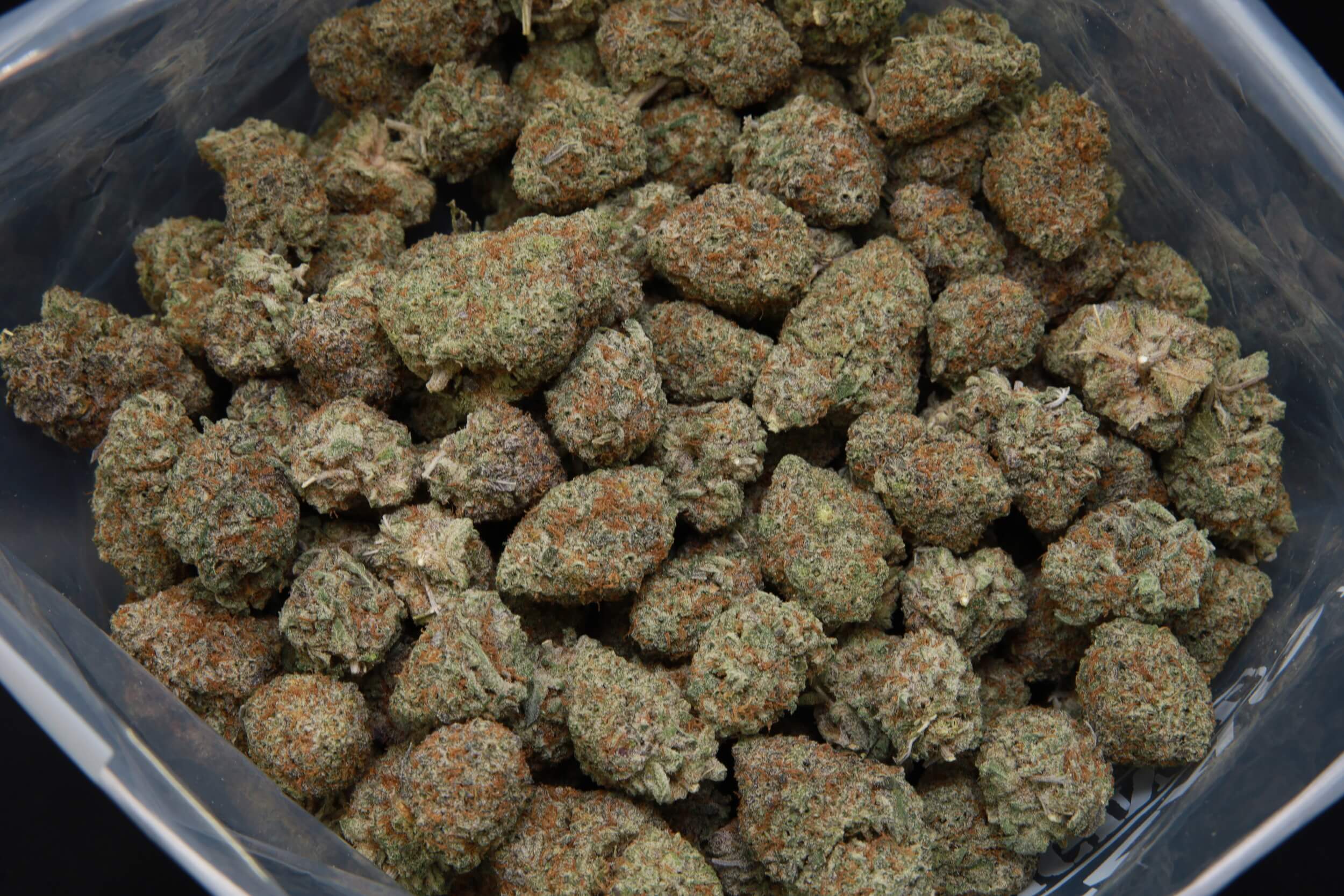 Large bag of GGC Smalls AAA hybrid cannabis popcorn buds from Elephant Garden