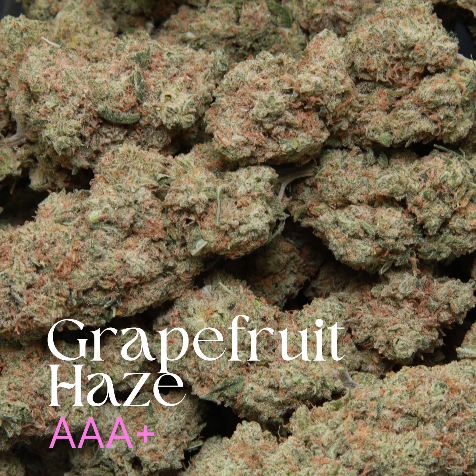 Grapefruit Haze - Sativa - AAA+ - Image 2