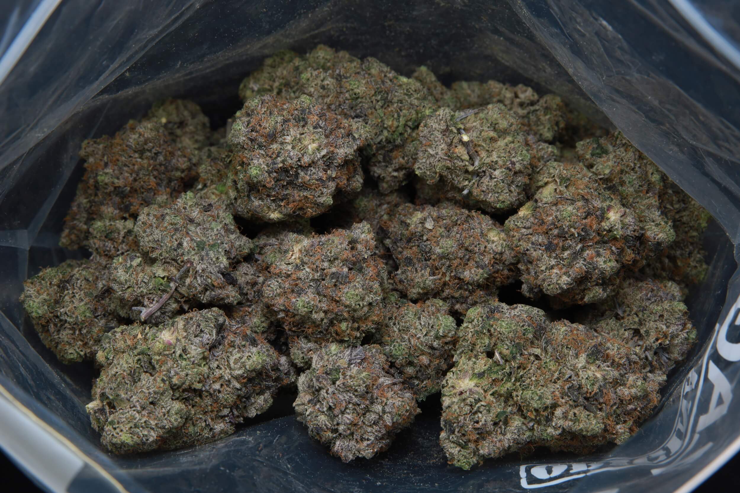 Mike Tyson - Indica - AAAA - Image 2