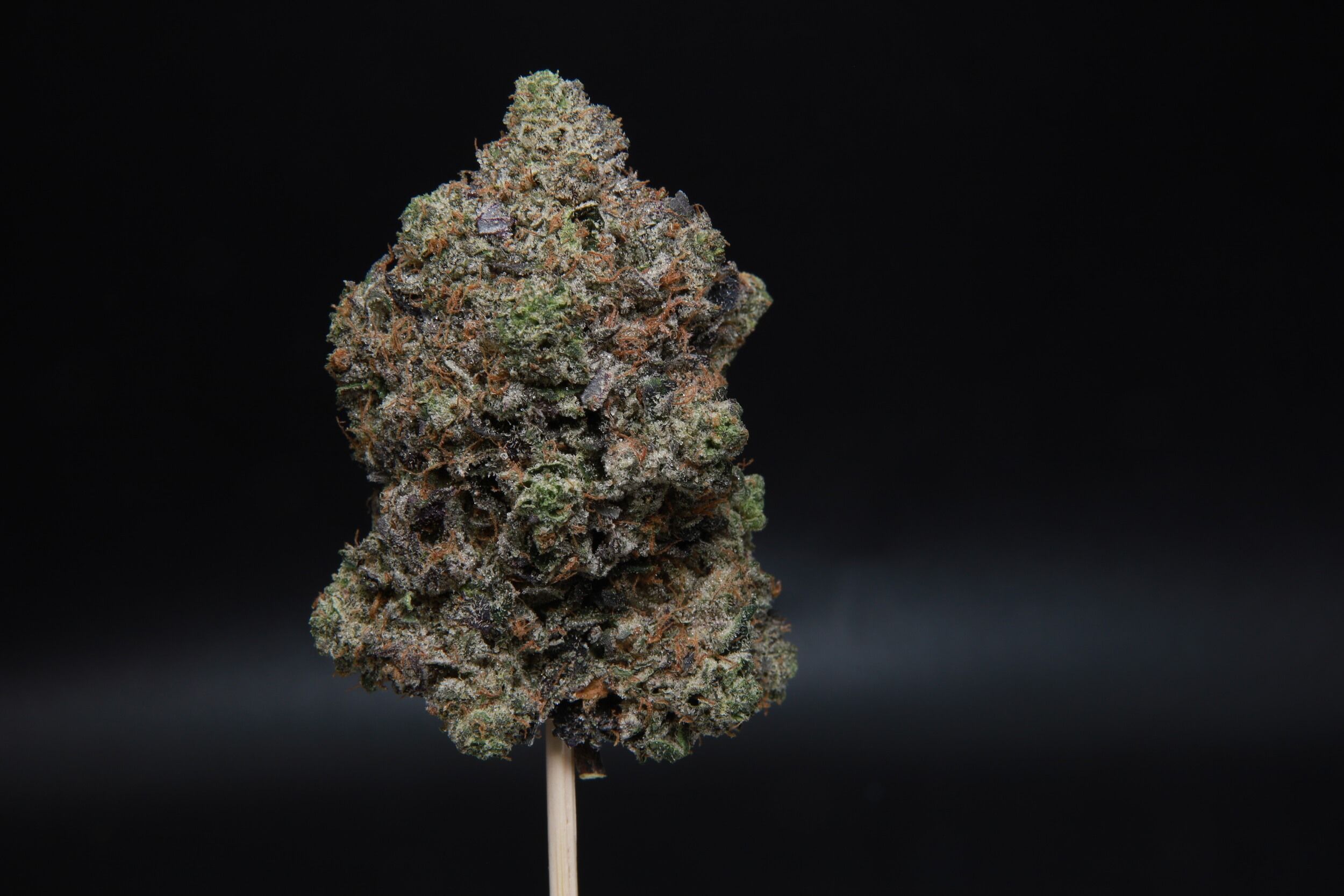 Mike Tyson - Indica - AAAA