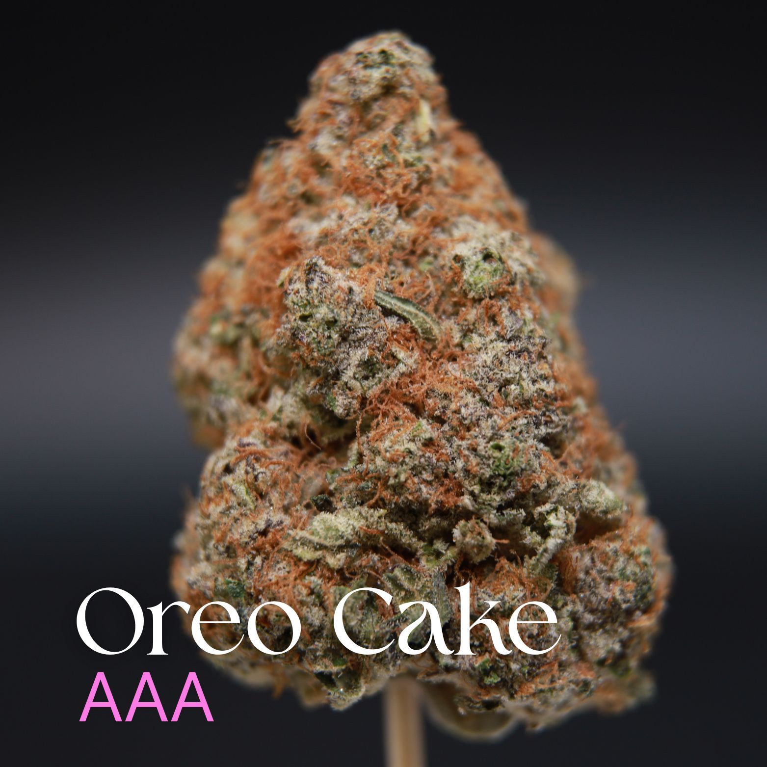 Buy oreo cake from Elephant garden