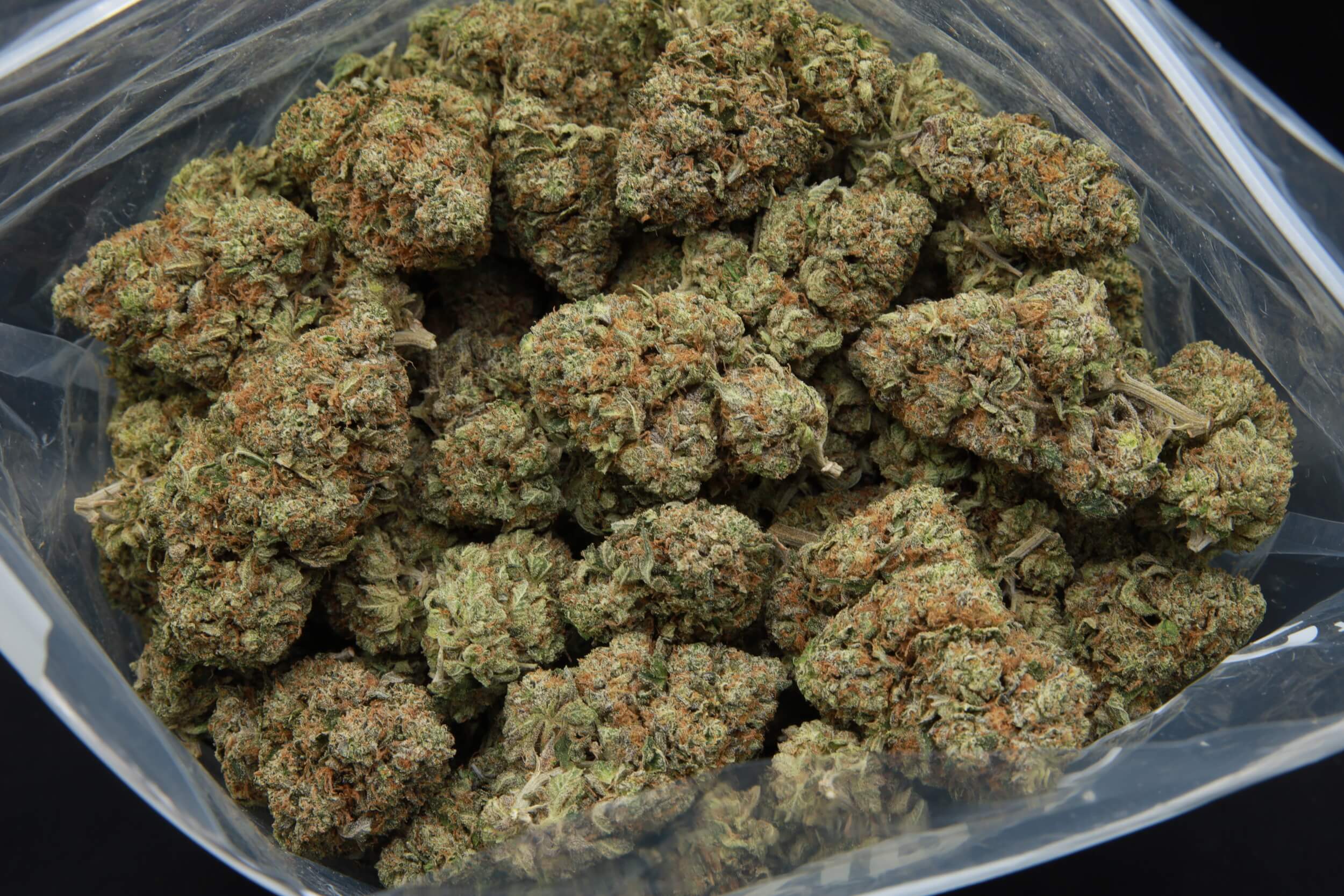 Bag of Pink Fuego Indica from Elephant Garden