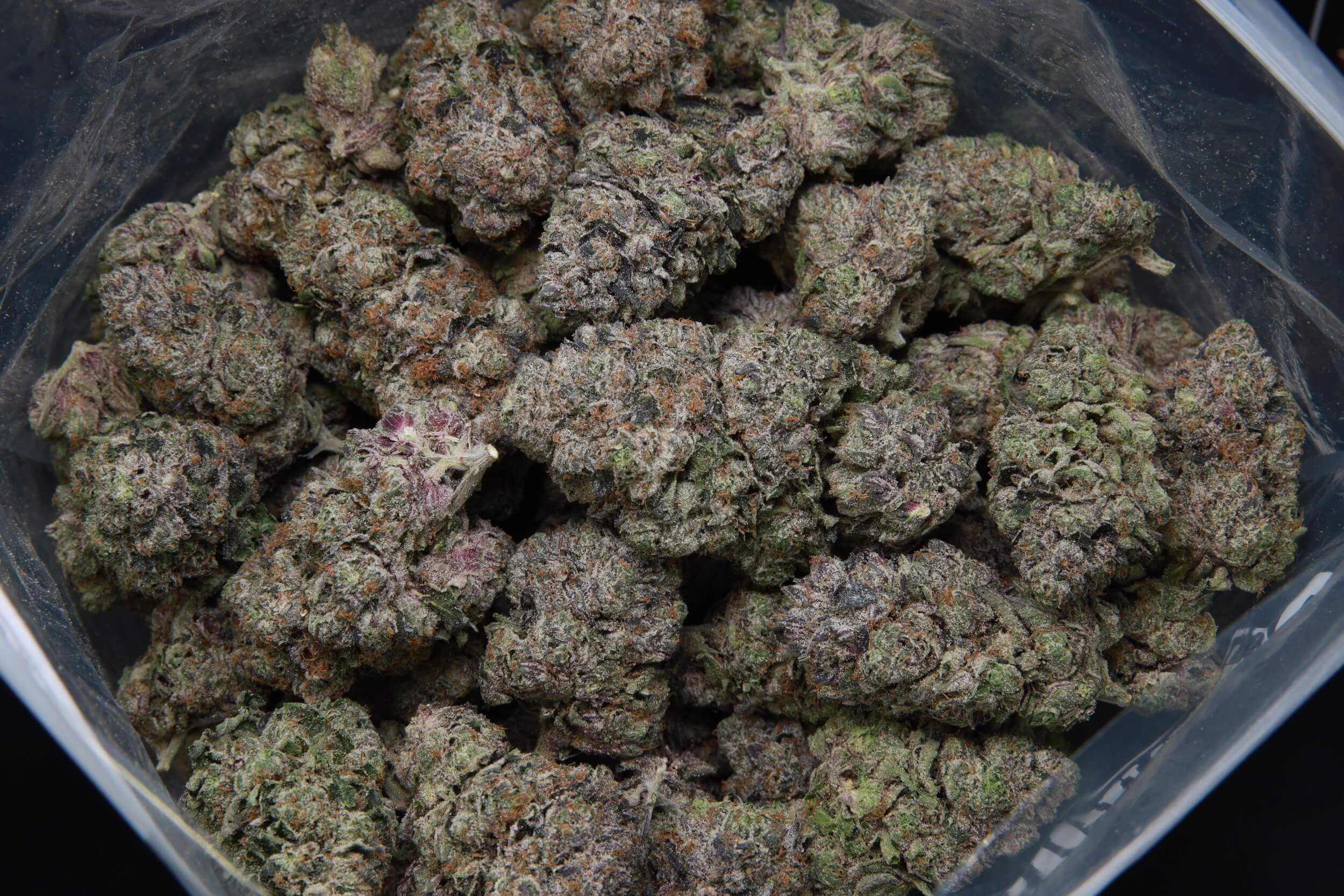 Pink Jet Fuel bag of weed at Elephant Garden